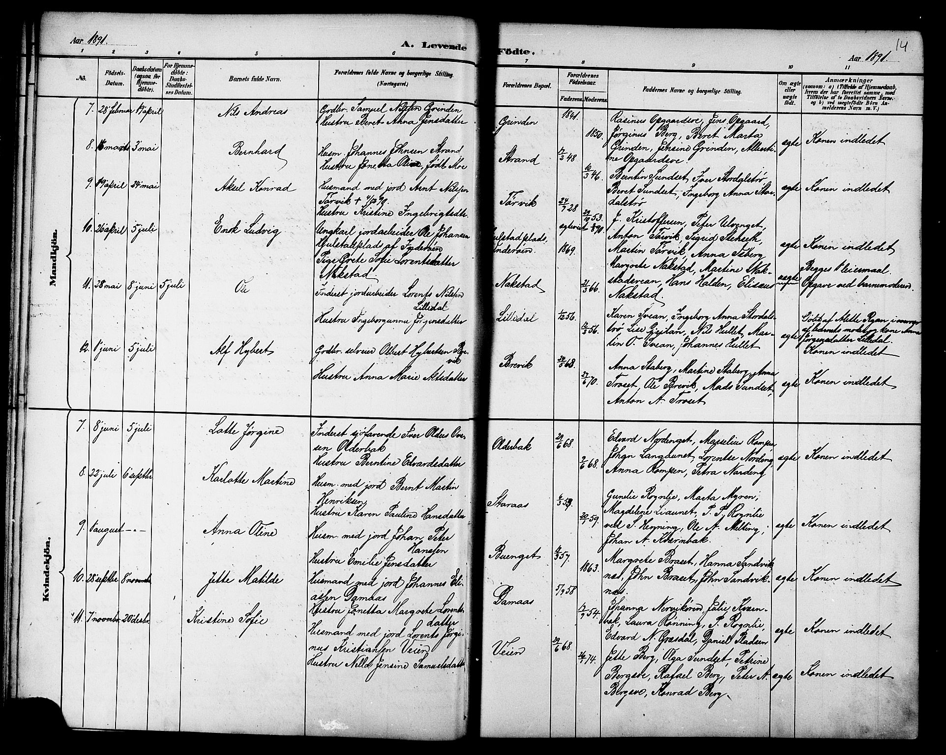 Ministerialprotokoller, klokkerbøker og fødselsregistre - Nord-Trøndelag, SAT/A-1458/733/L0327: Parish register (copy) no. 733C02, 1888-1918, p. 14