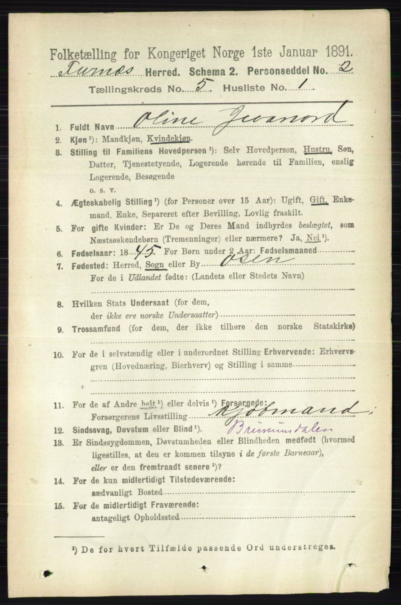 RA, Census 1891 for 0413 Furnes herred, 1891, p. 3157