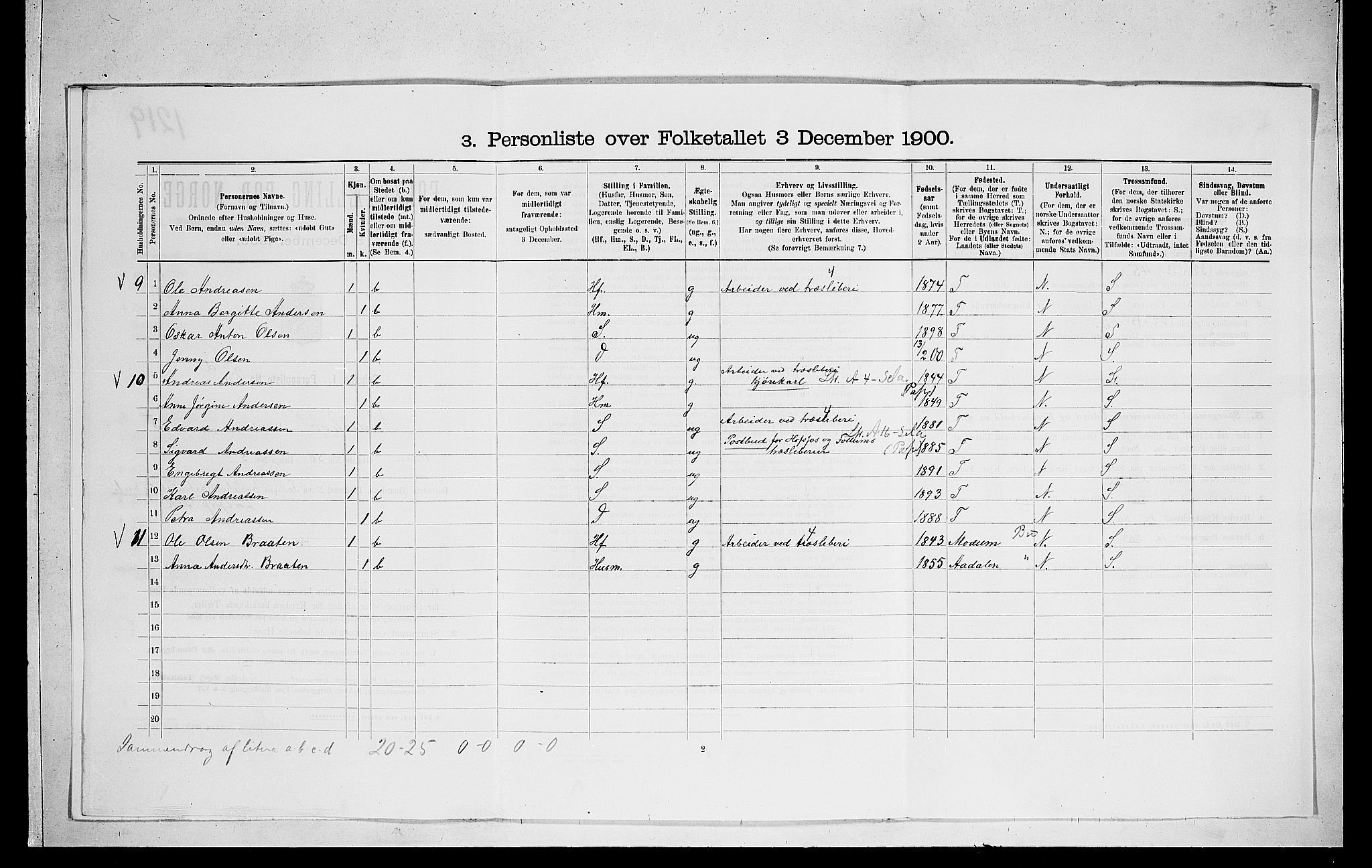 RA, 1900 census for Norderhov, 1900, p. 1262