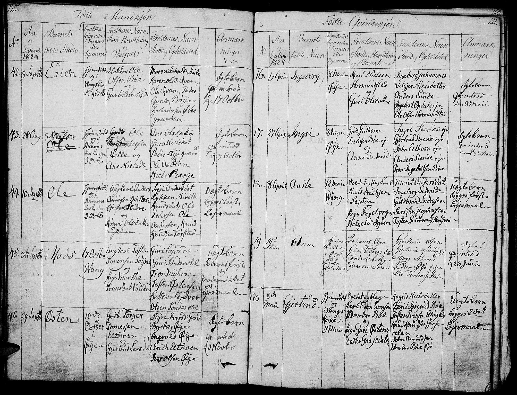 Vang prestekontor, Valdres, AV/SAH-PREST-140/H/Ha/L0003: Parish register (official) no. 3, 1809-1831, p. 120-121