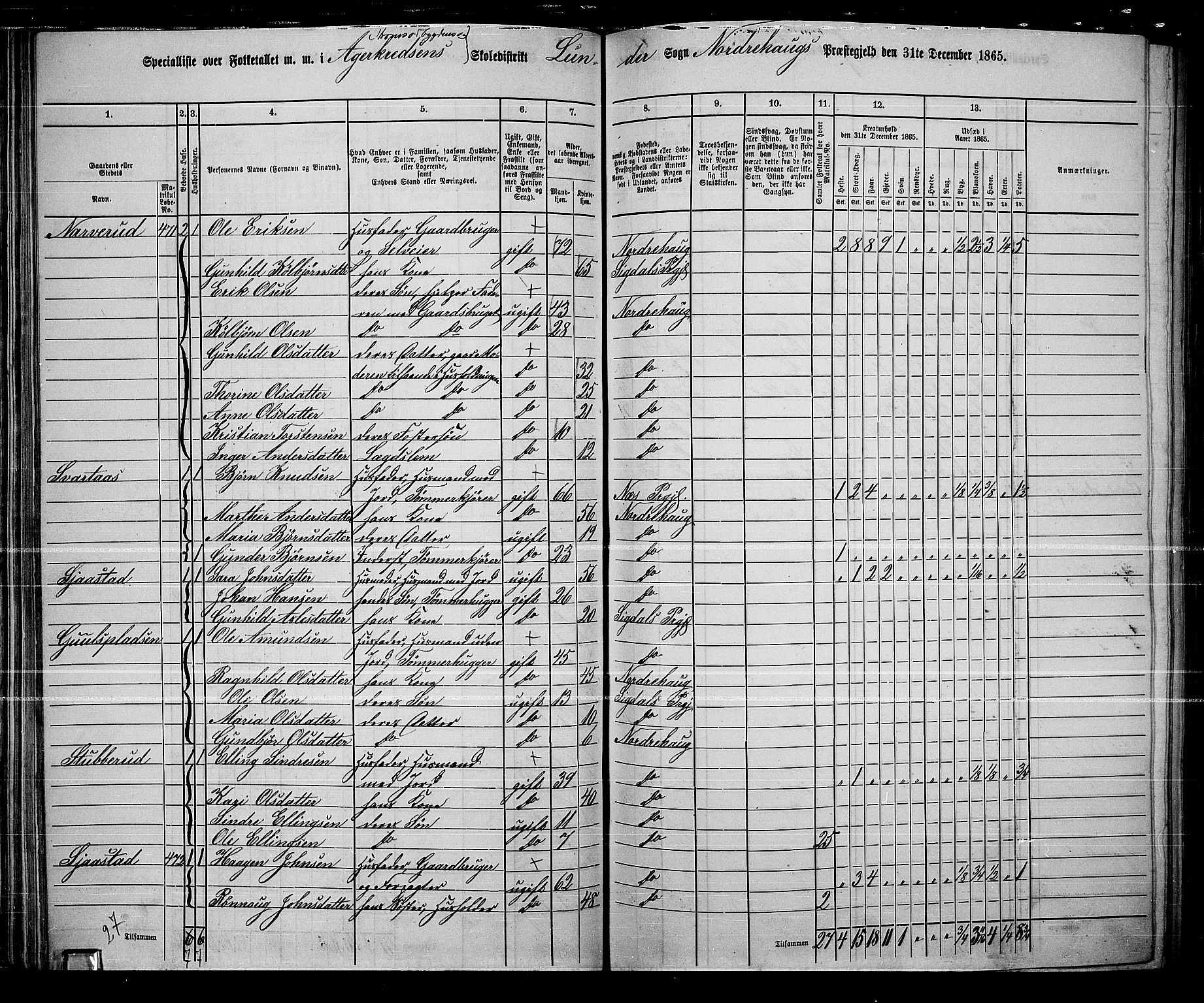 RA, 1865 census for Norderhov/Norderhov, Haug og Lunder, 1865, p. 69