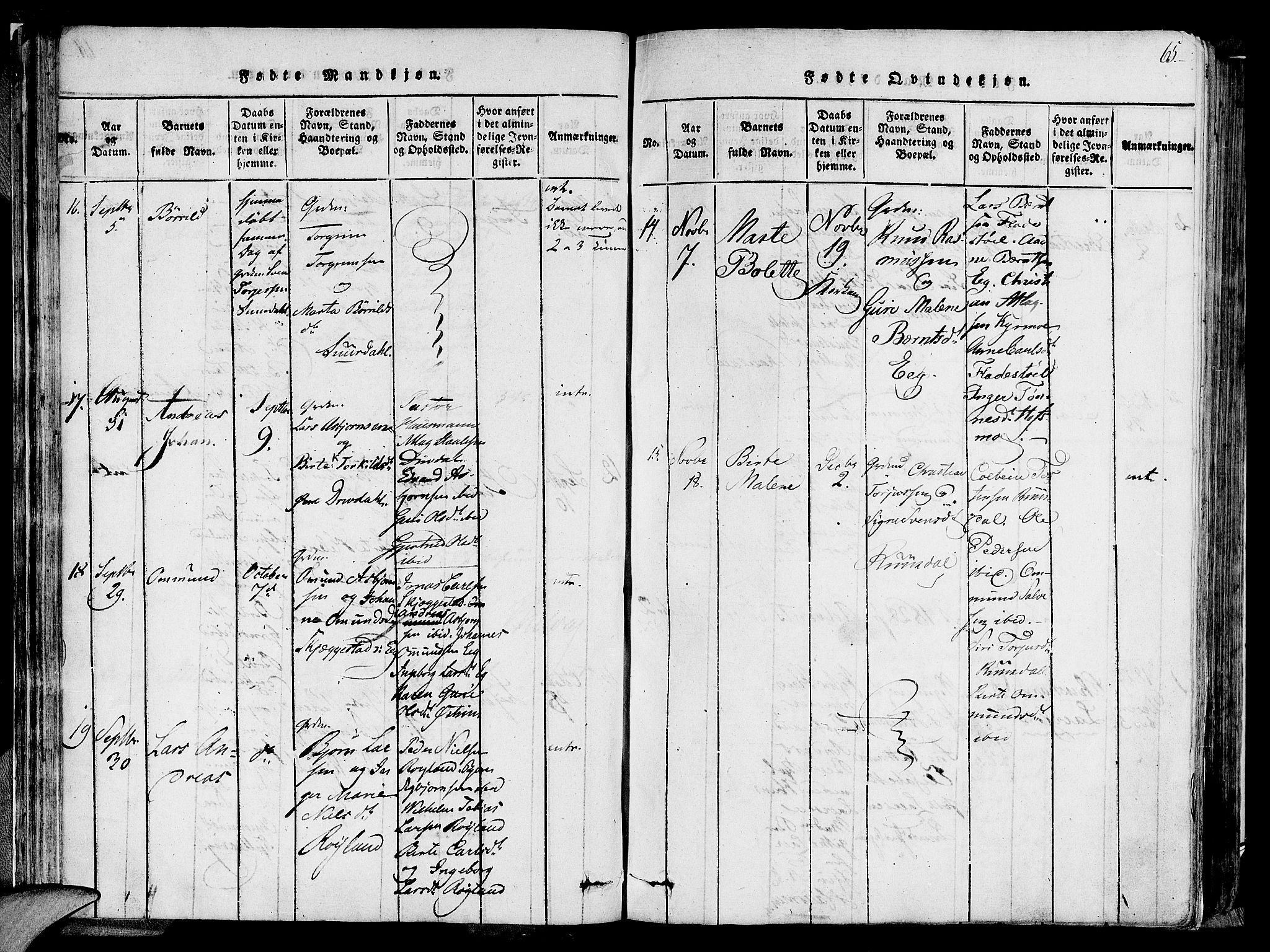 Lund sokneprestkontor, AV/SAST-A-101809/S06/L0005: Parish register (official) no. A 5, 1815-1833, p. 65