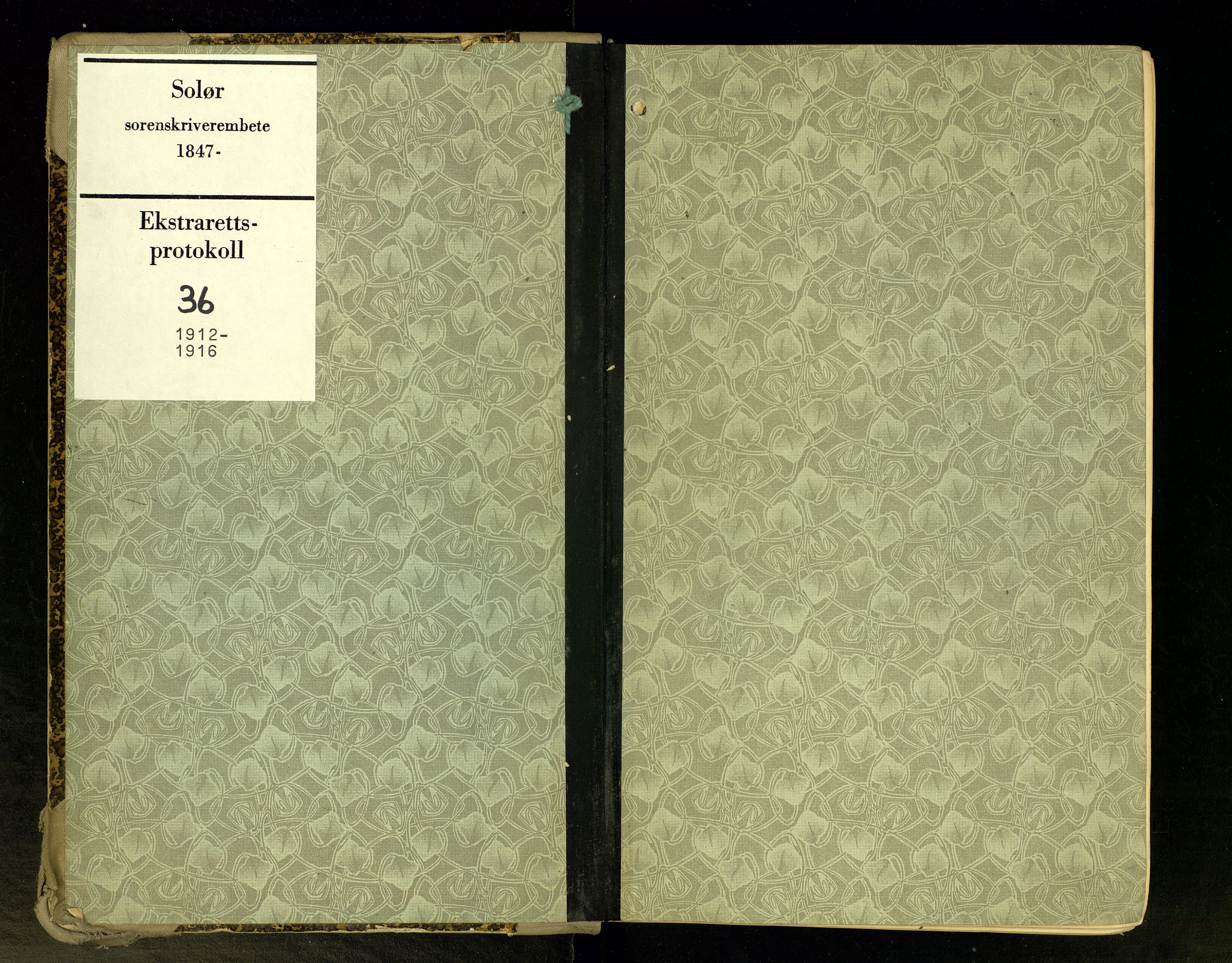 Solør tingrett, AV/SAH-TING-008/G/Gc/Gca/L0036: Ekstrarettsprotokoll, 1912-1916