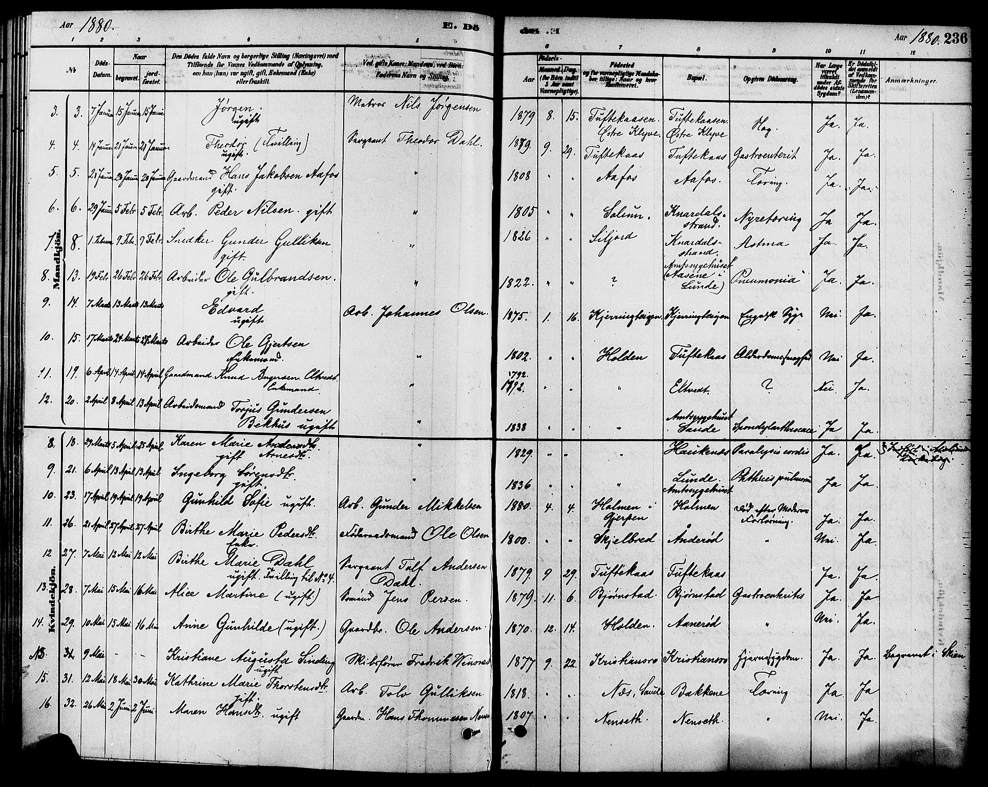 Solum kirkebøker, SAKO/A-306/F/Fa/L0009: Parish register (official) no. I 9, 1877-1887, p. 236