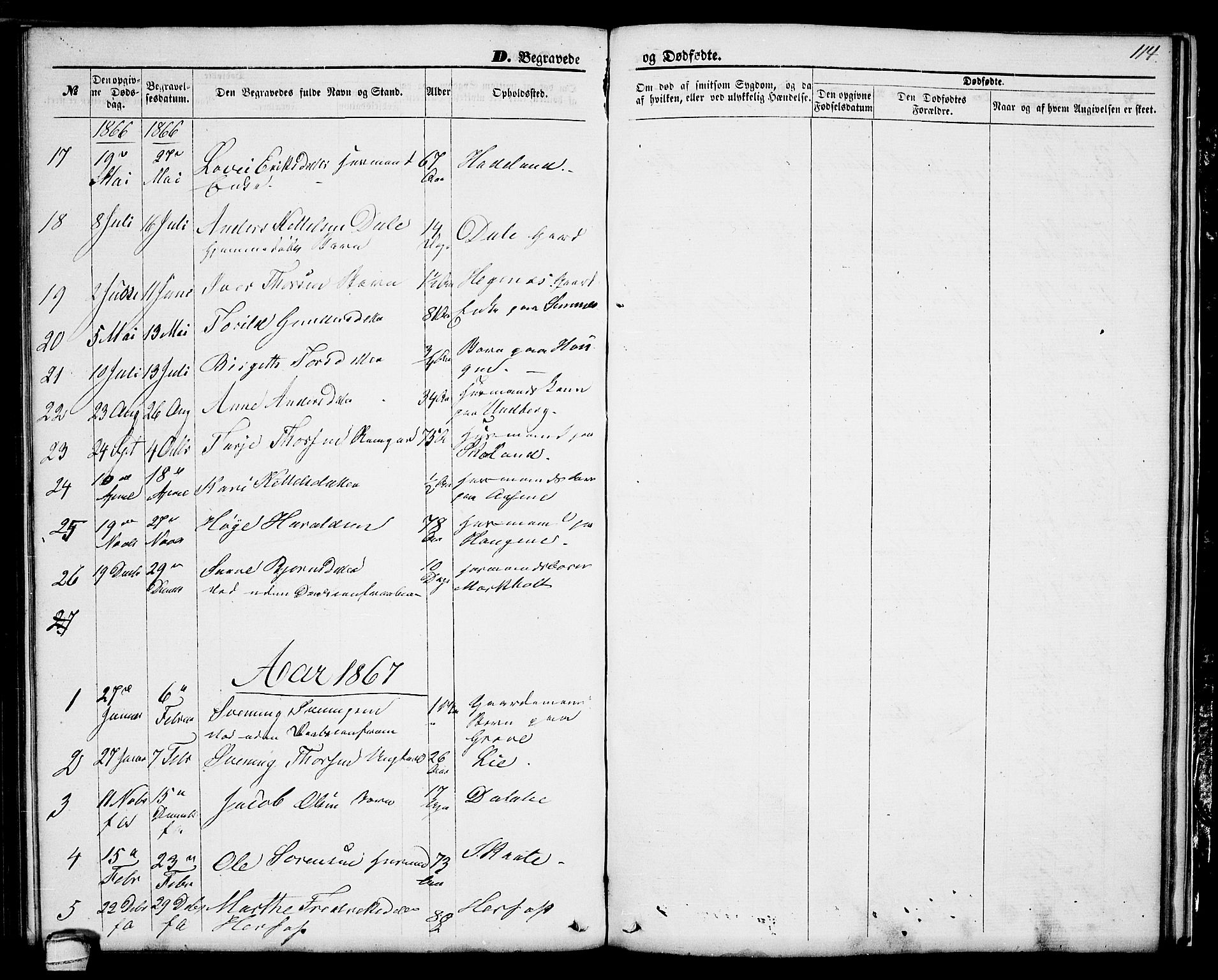 Seljord kirkebøker, SAKO/A-20/G/Ga/L0003: Parish register (copy) no. I 3, 1866-1873, p. 114