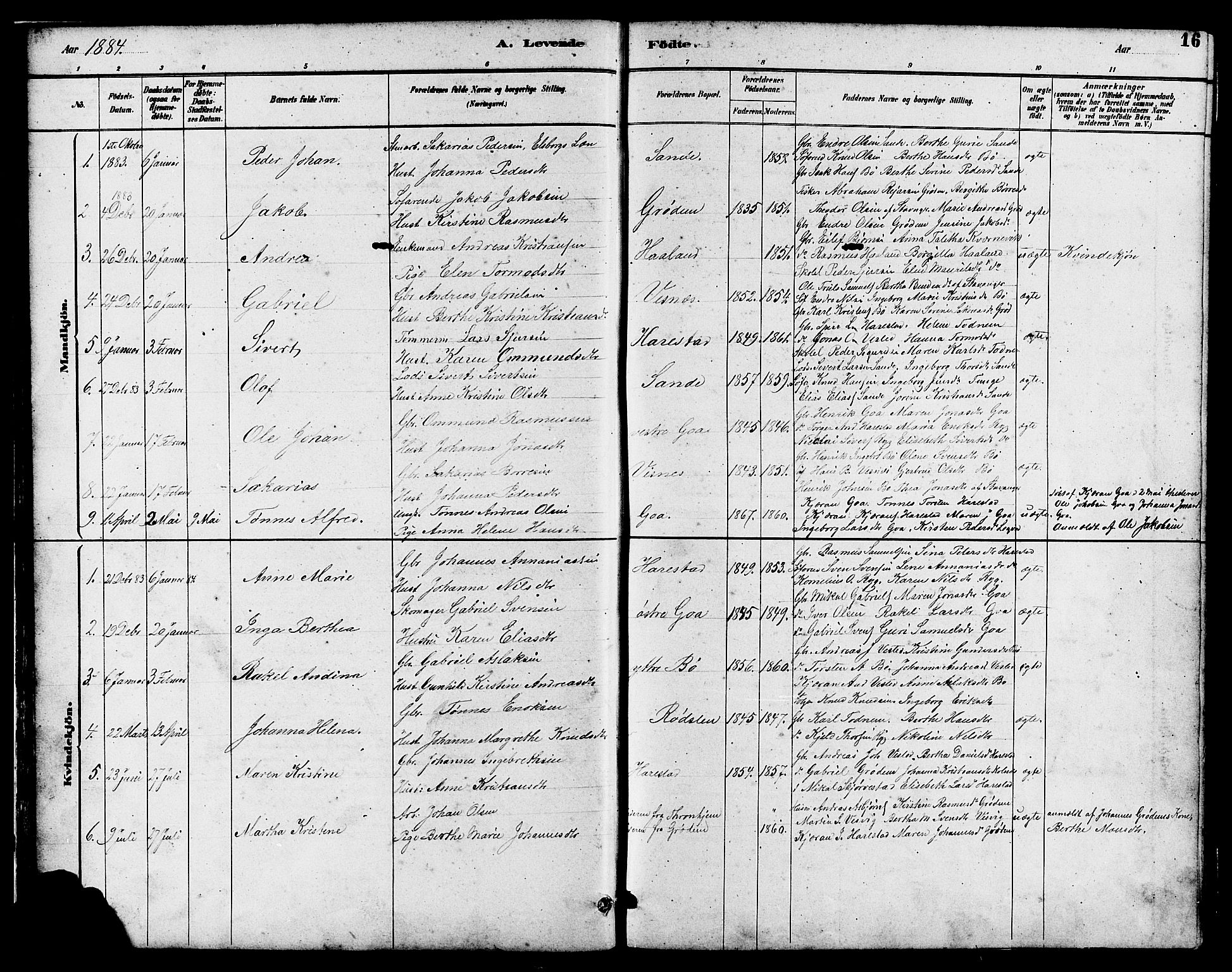 Hetland sokneprestkontor, SAST/A-101826/30/30BB/L0006: Parish register (copy) no. B 6, 1878-1921, p. 16