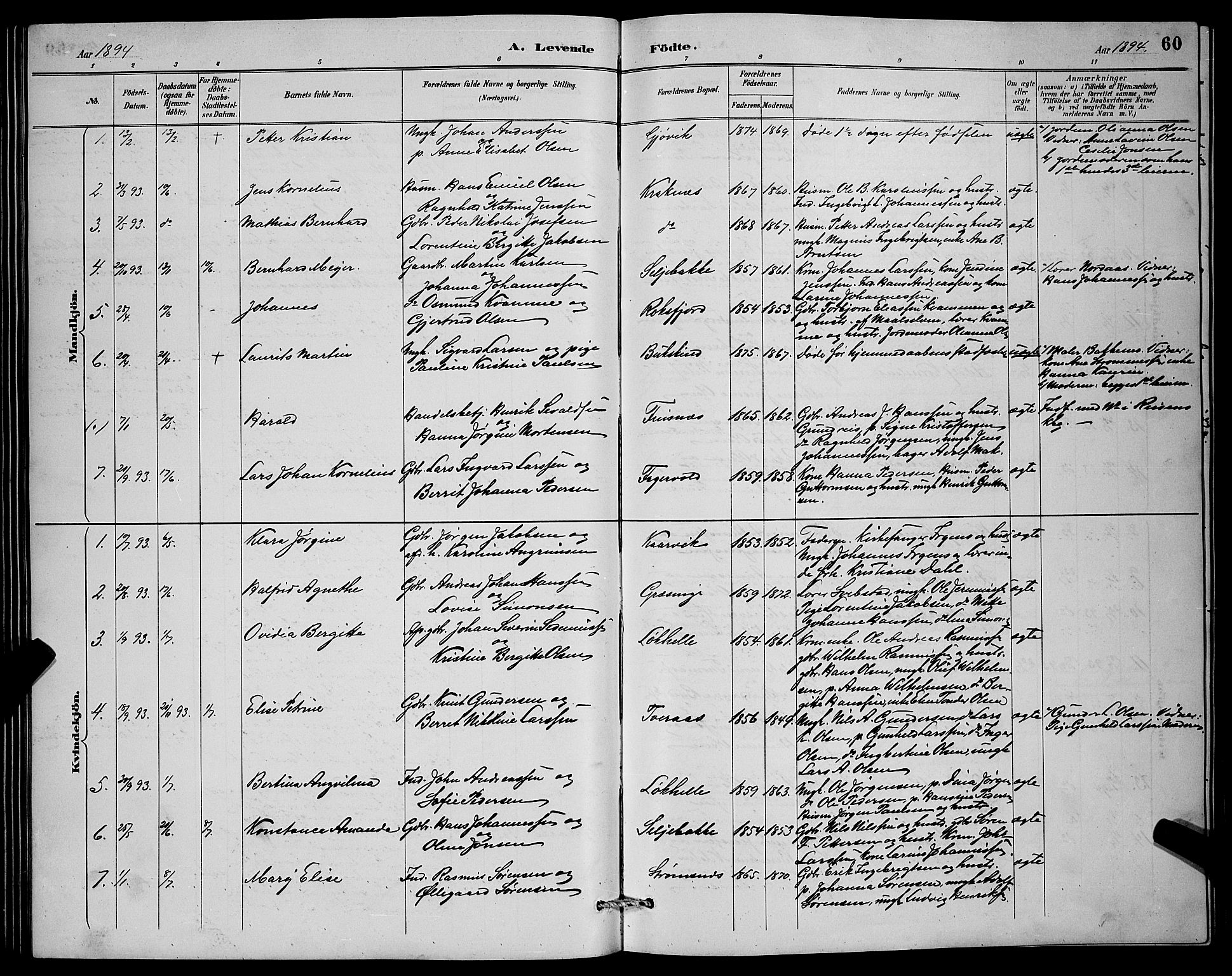 Lenvik sokneprestembete, SATØ/S-1310/H/Ha/Hab/L0007klokker: Parish register (copy) no. 7, 1890-1898, p. 60