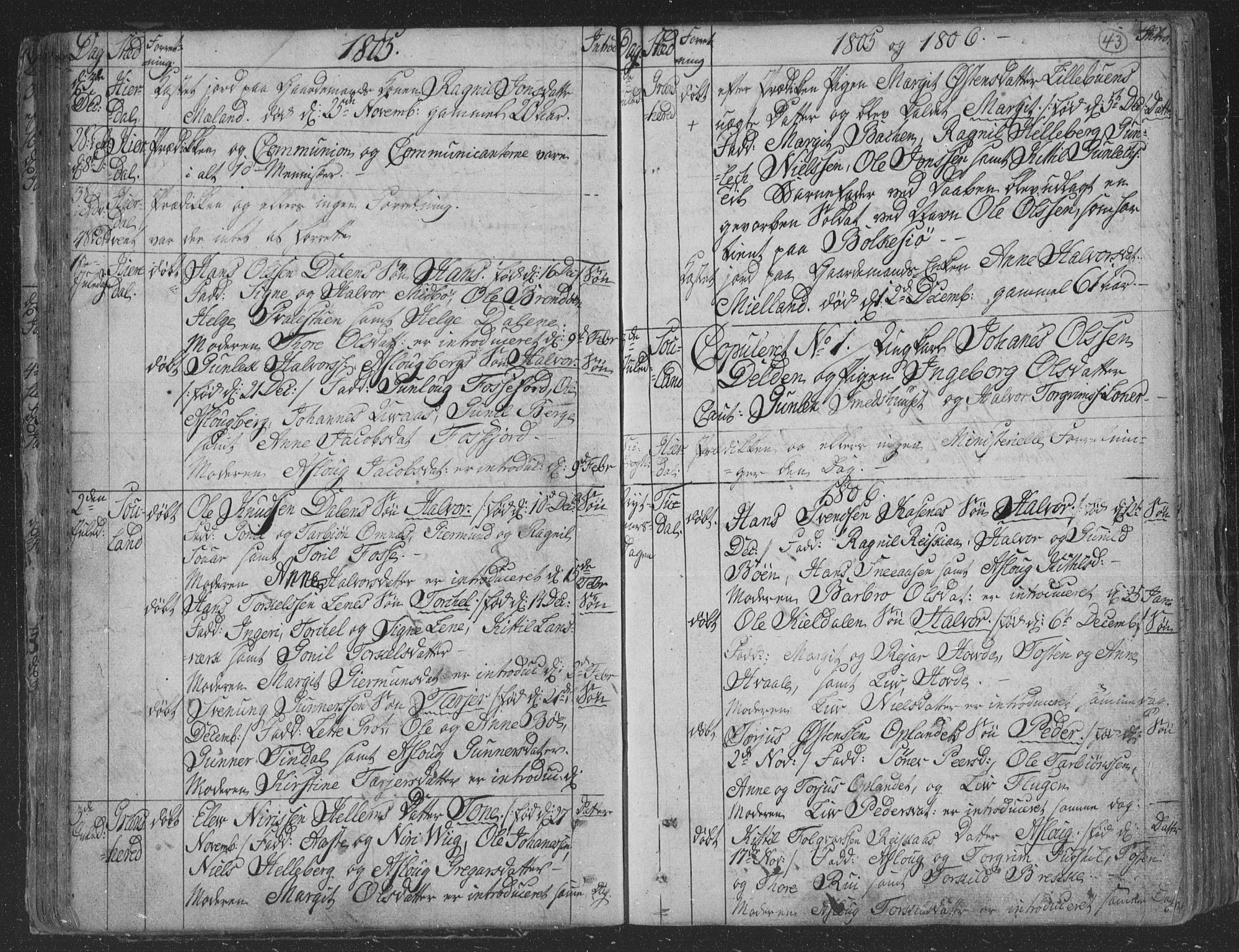 Hjartdal kirkebøker, AV/SAKO-A-270/F/Fa/L0006: Parish register (official) no. I 6, 1801-1814, p. 43
