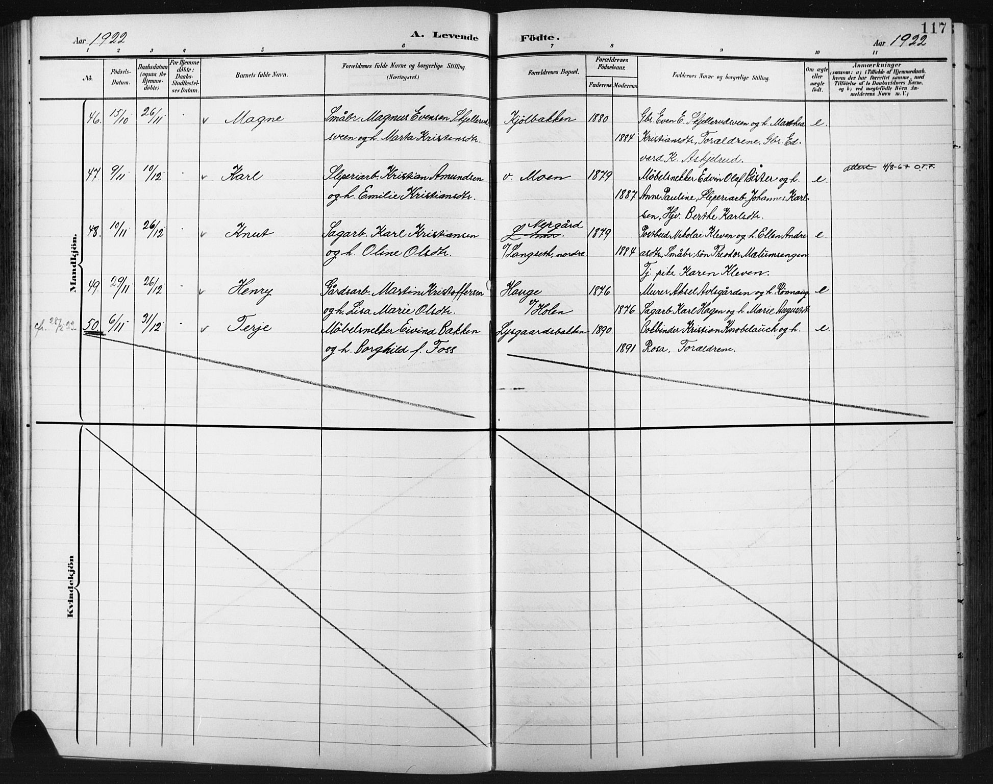 Fåberg prestekontor, SAH/PREST-086/H/Ha/Hab/L0012: Parish register (copy) no. 12, 1903-1924, p. 117