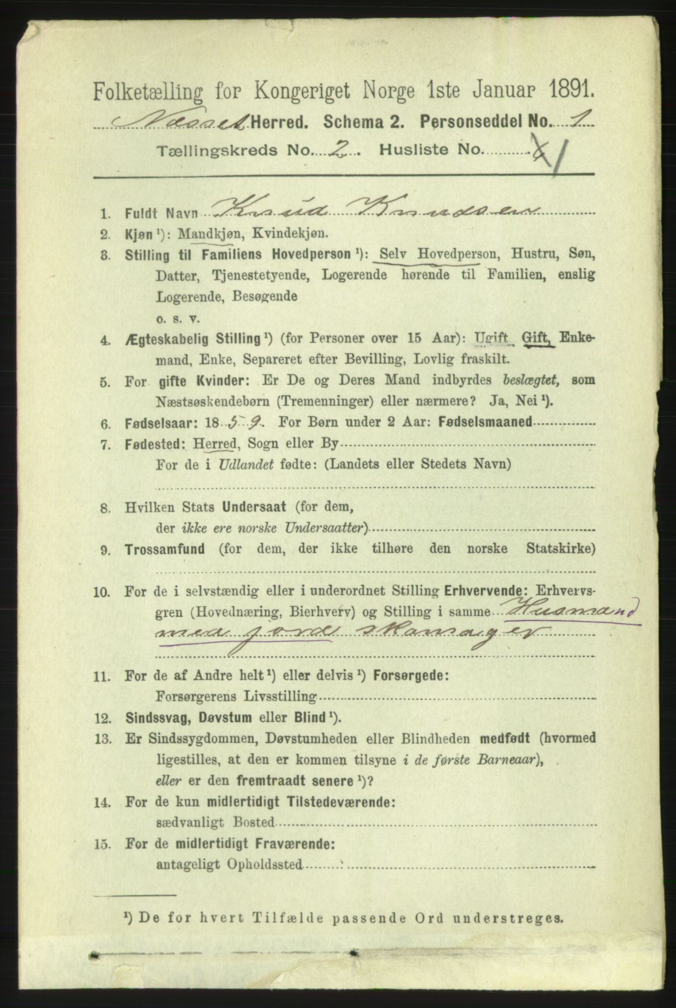 RA, 1891 census for 1543 Nesset, 1891, p. 633