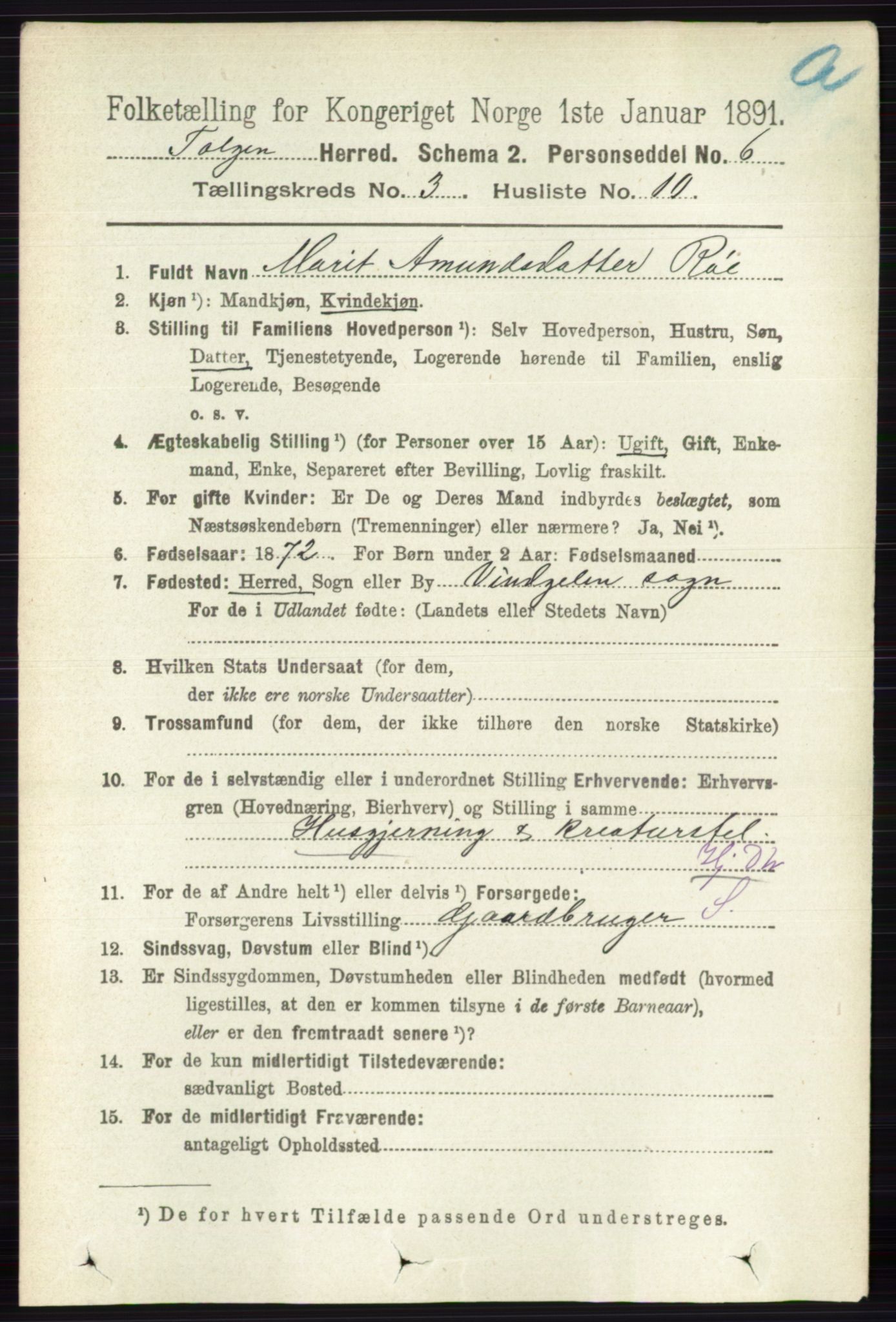 RA, 1891 census for 0436 Tolga, 1891, p. 609