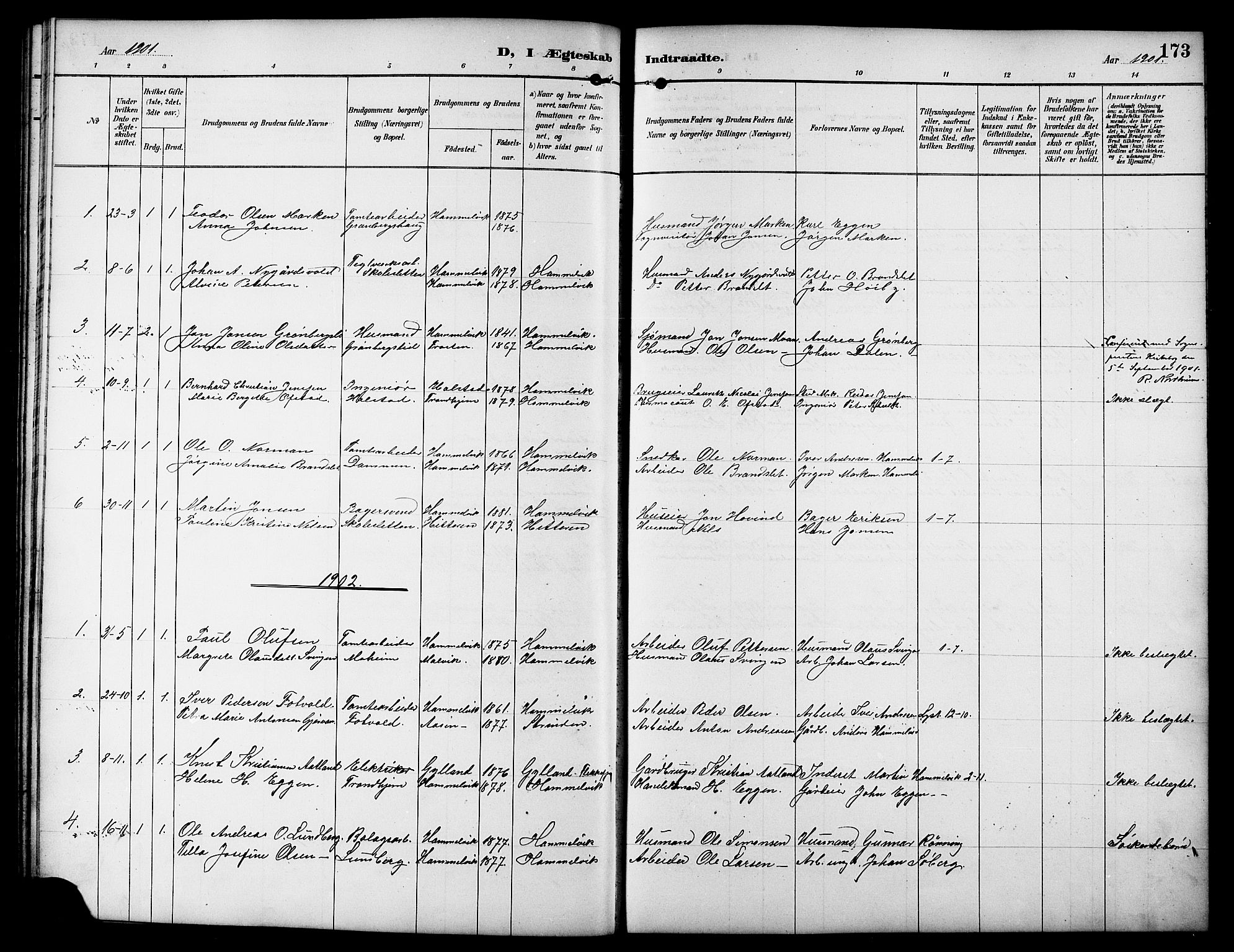 Ministerialprotokoller, klokkerbøker og fødselsregistre - Sør-Trøndelag, SAT/A-1456/617/L0431: Parish register (copy) no. 617C01, 1889-1910, p. 173