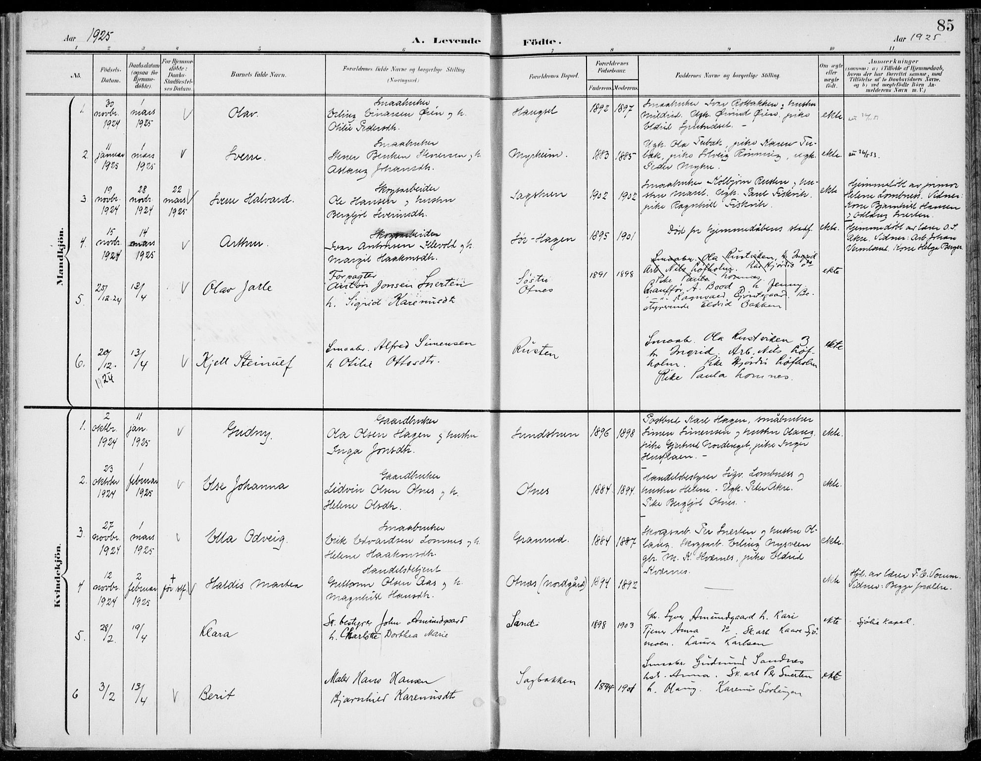 Rendalen prestekontor, SAH/PREST-054/H/Ha/Haa/L0011: Parish register (official) no. 11, 1901-1925, p. 85