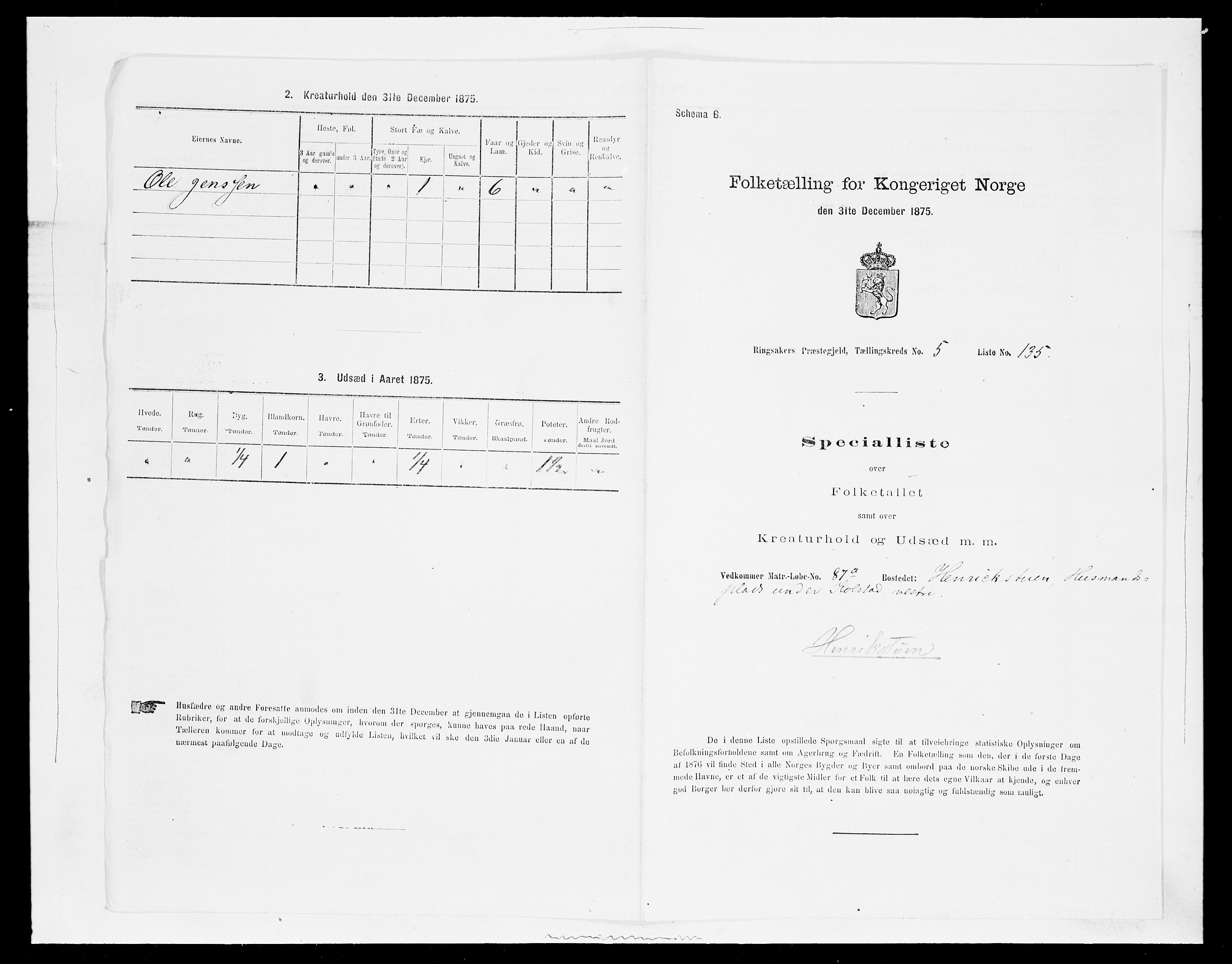 SAH, 1875 census for 0412P Ringsaker, 1875, p. 1200