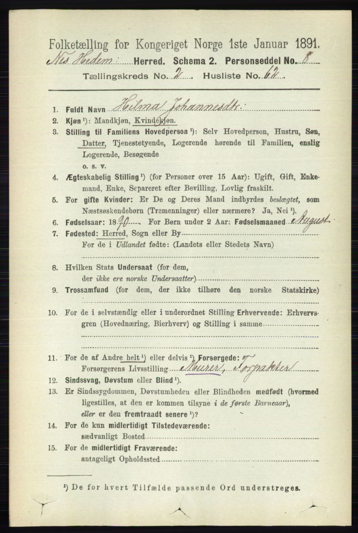 RA, 1891 census for 0411 Nes, 1891, p. 1506
