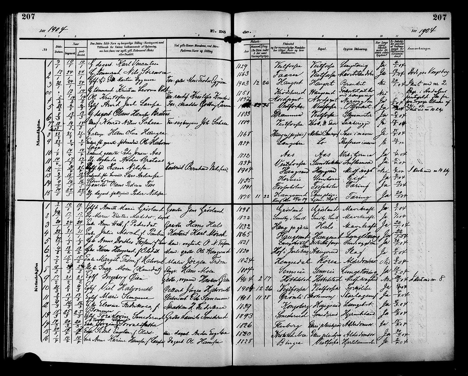 Eiker kirkebøker, SAKO/A-4/G/Ga/L0008: Parish register (copy) no. I 8, 1903-1914, p. 207
