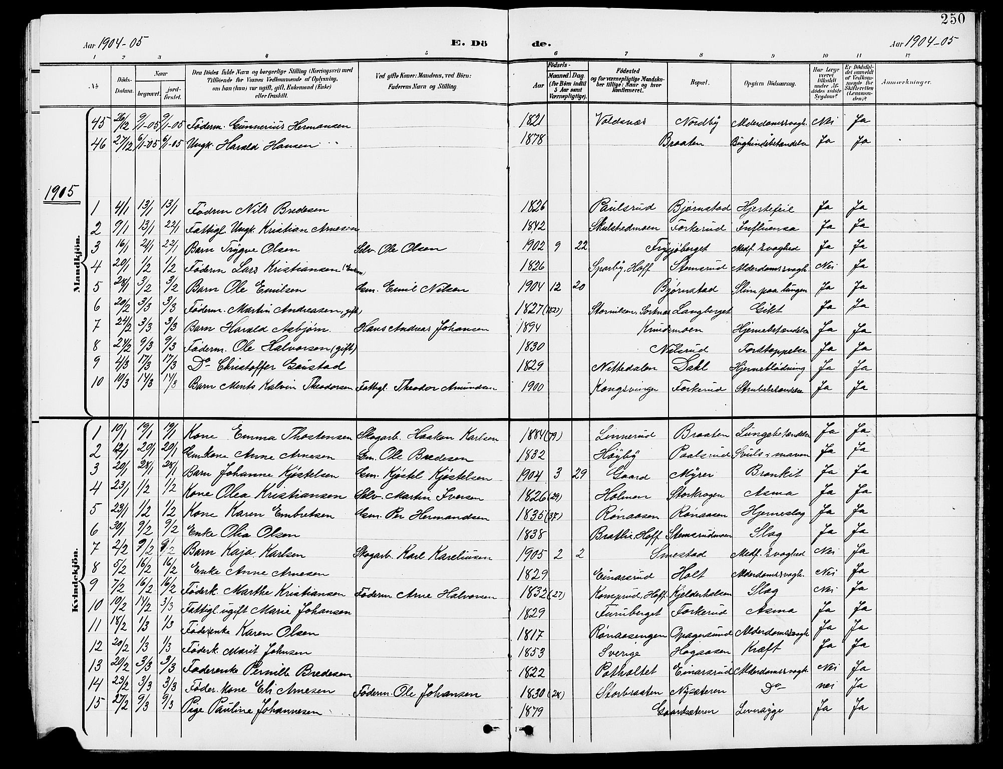 Grue prestekontor, AV/SAH-PREST-036/H/Ha/Hab/L0005: Parish register (copy) no. 5, 1900-1909, p. 250