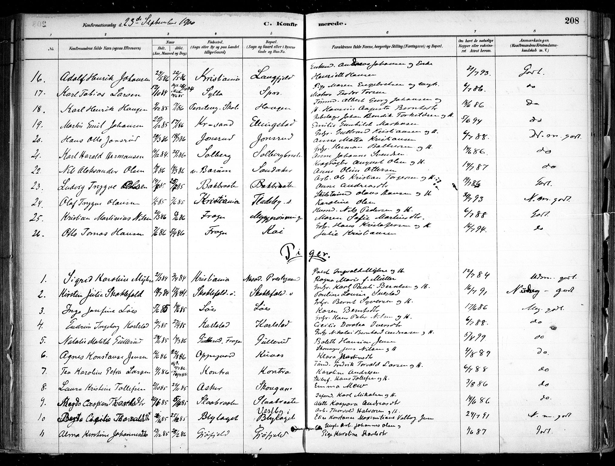 Nesodden prestekontor Kirkebøker, SAO/A-10013/F/Fa/L0009: Parish register (official) no. I 9, 1880-1915, p. 208