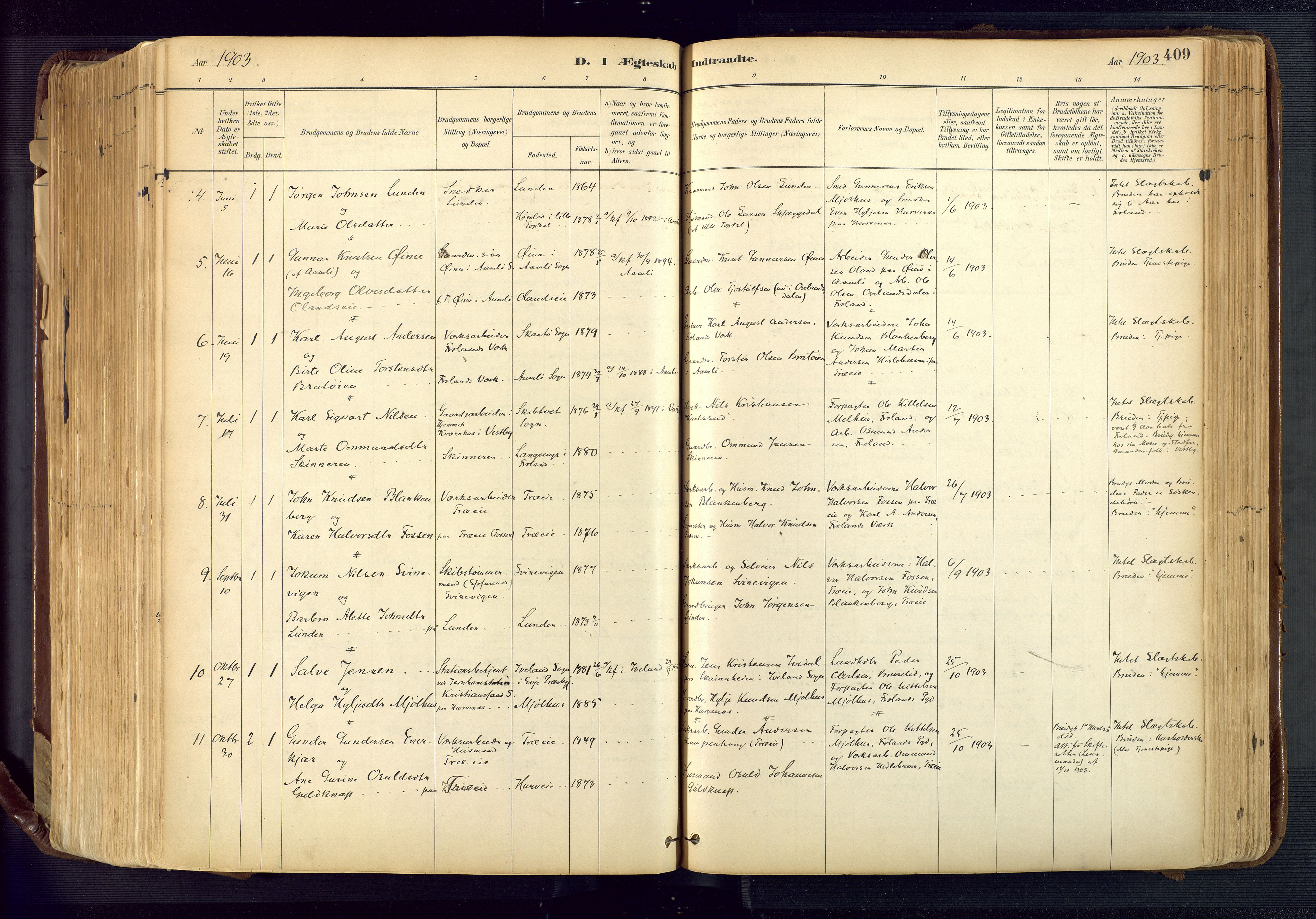 Froland sokneprestkontor, SAK/1111-0013/F/Fa/L0005: Parish register (official) no. A 5, 1882-1921, p. 409
