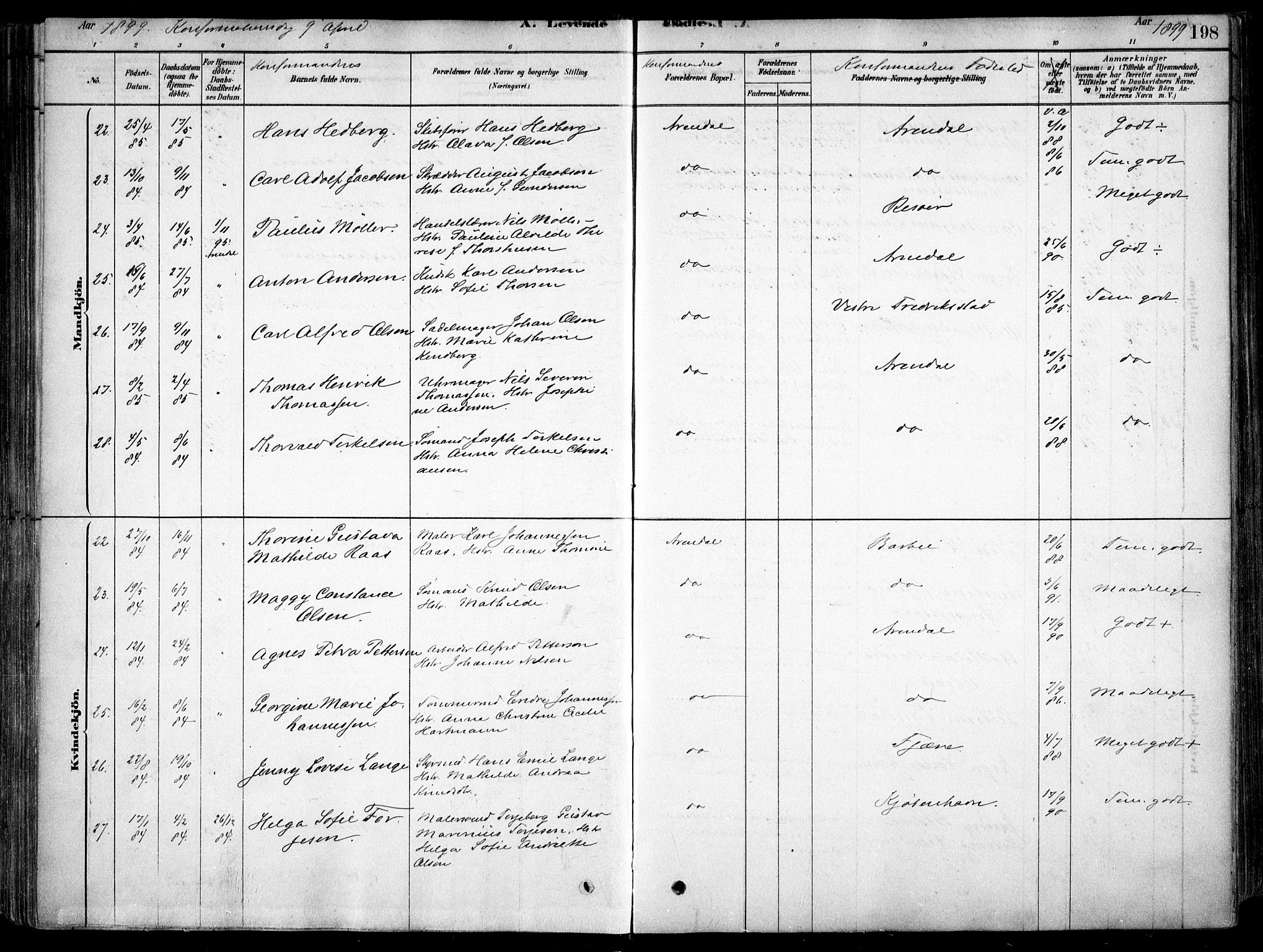 Arendal sokneprestkontor, Trefoldighet, AV/SAK-1111-0040/F/Fa/L0008: Parish register (official) no. A 8, 1878-1899, p. 198