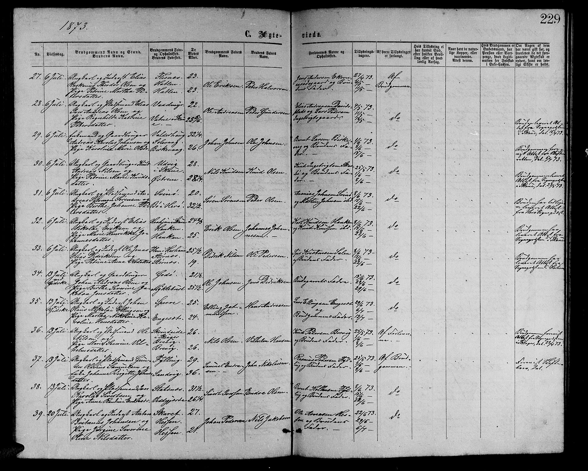 Ministerialprotokoller, klokkerbøker og fødselsregistre - Møre og Romsdal, AV/SAT-A-1454/528/L0428: Parish register (copy) no. 528C09, 1864-1880, p. 229