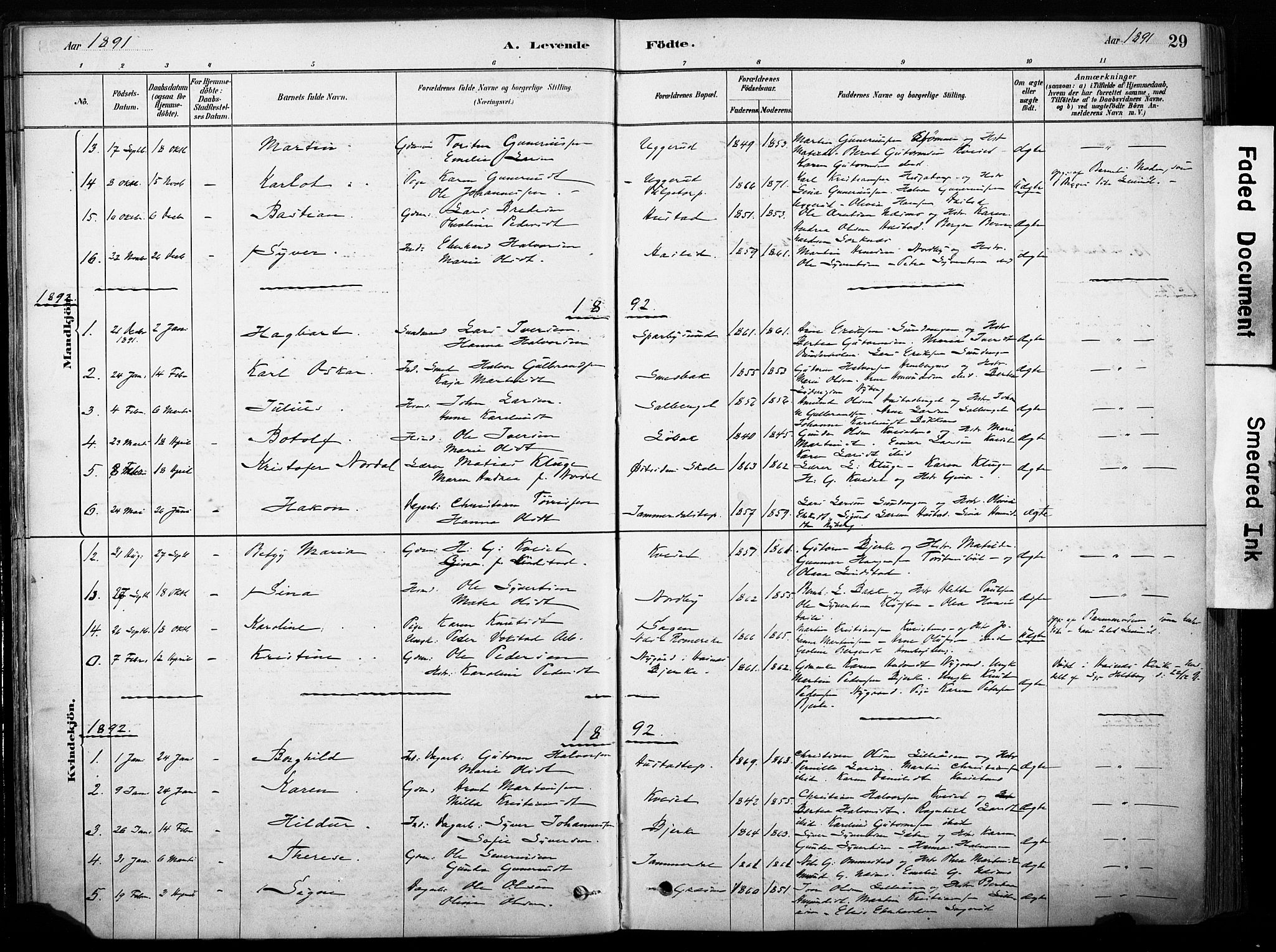 Hof prestekontor, AV/SAH-PREST-038/H/Ha/Haa/L0011: Parish register (official) no. 11, 1879-1911, p. 29