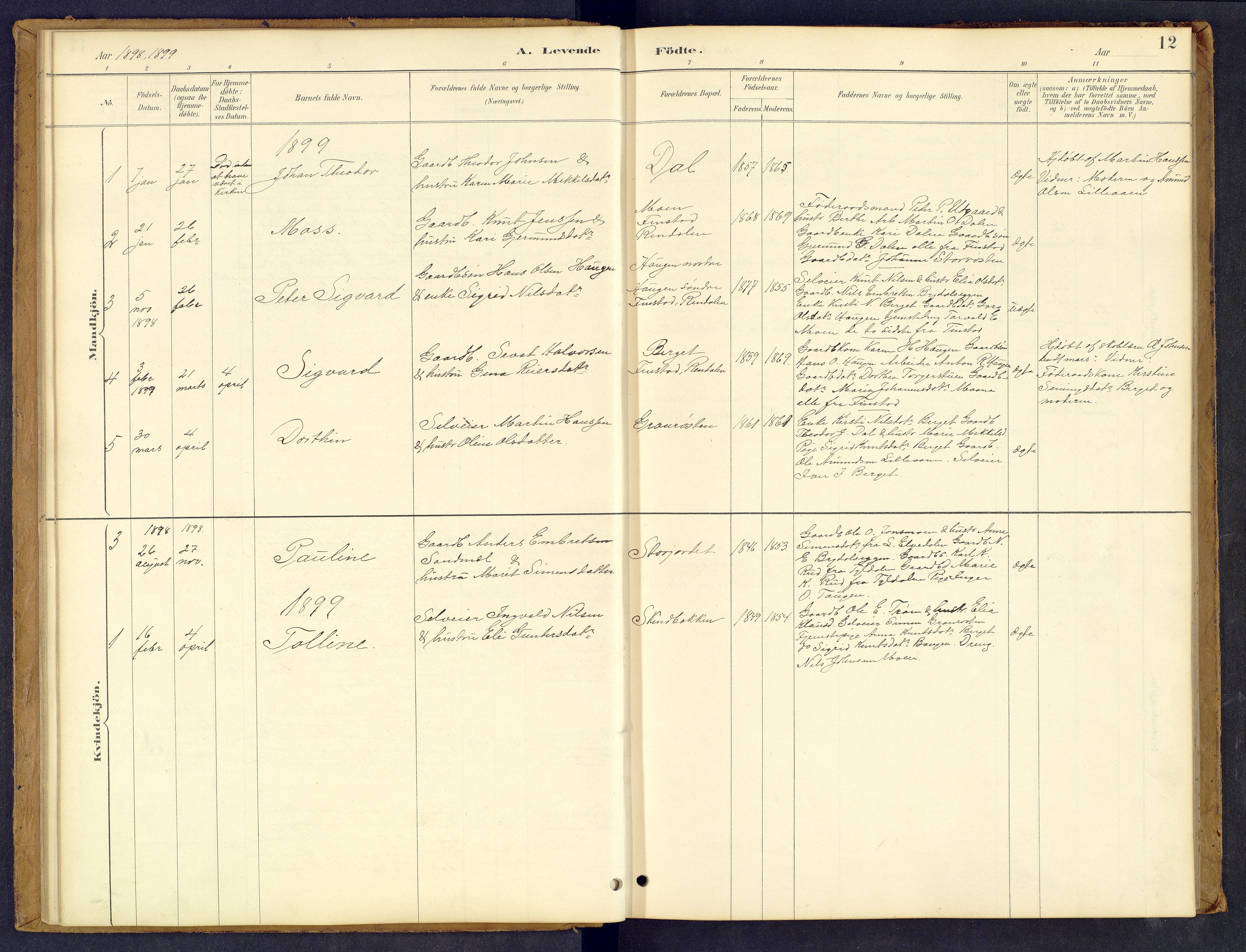 Tynset prestekontor, AV/SAH-PREST-058/H/Ha/Hab/L0008: Parish register (copy) no. 8, 1884-1916, p. 12