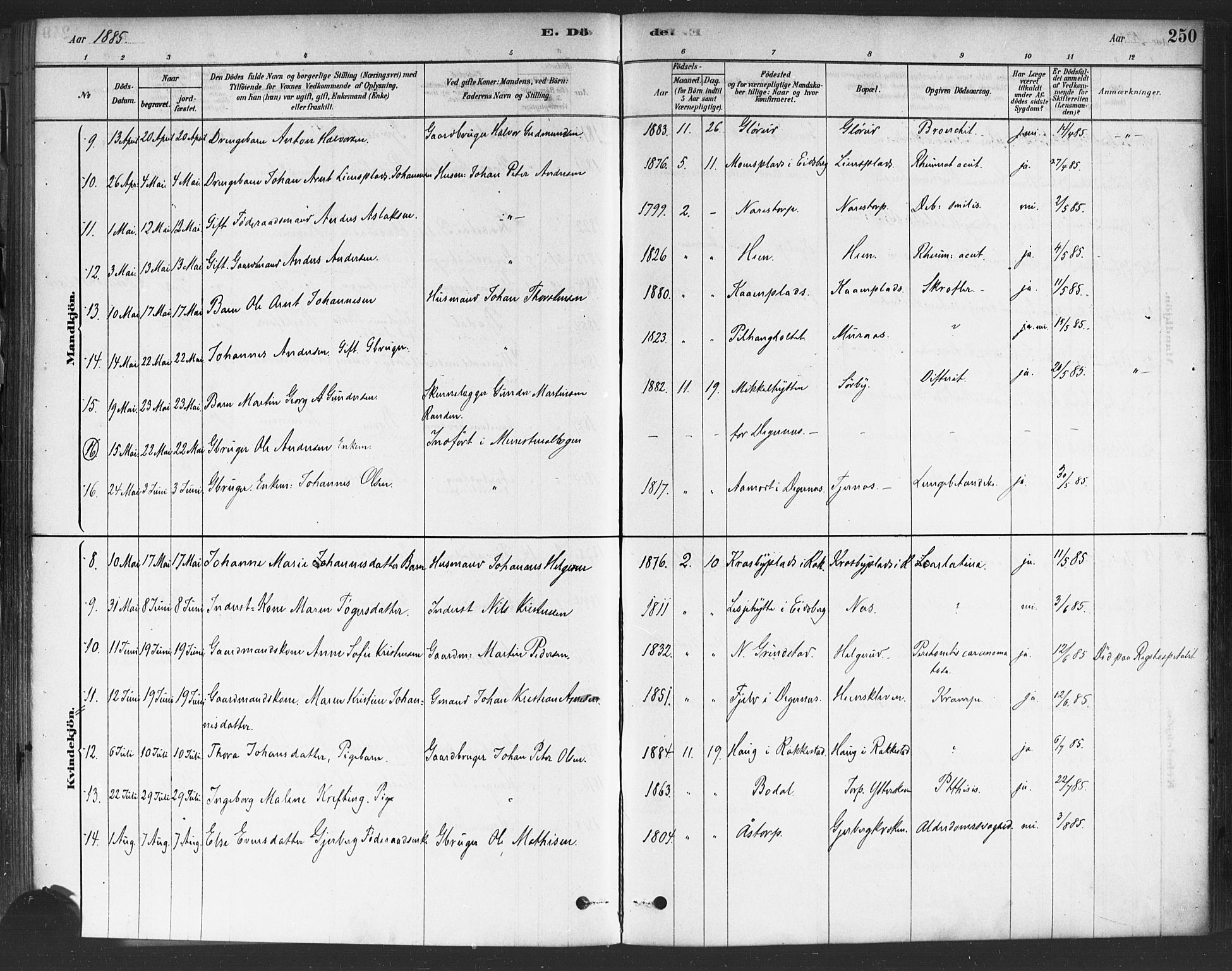 Rakkestad prestekontor Kirkebøker, AV/SAO-A-2008/F/Fa/L0012: Parish register (official) no. I 12, 1878-1893, p. 250