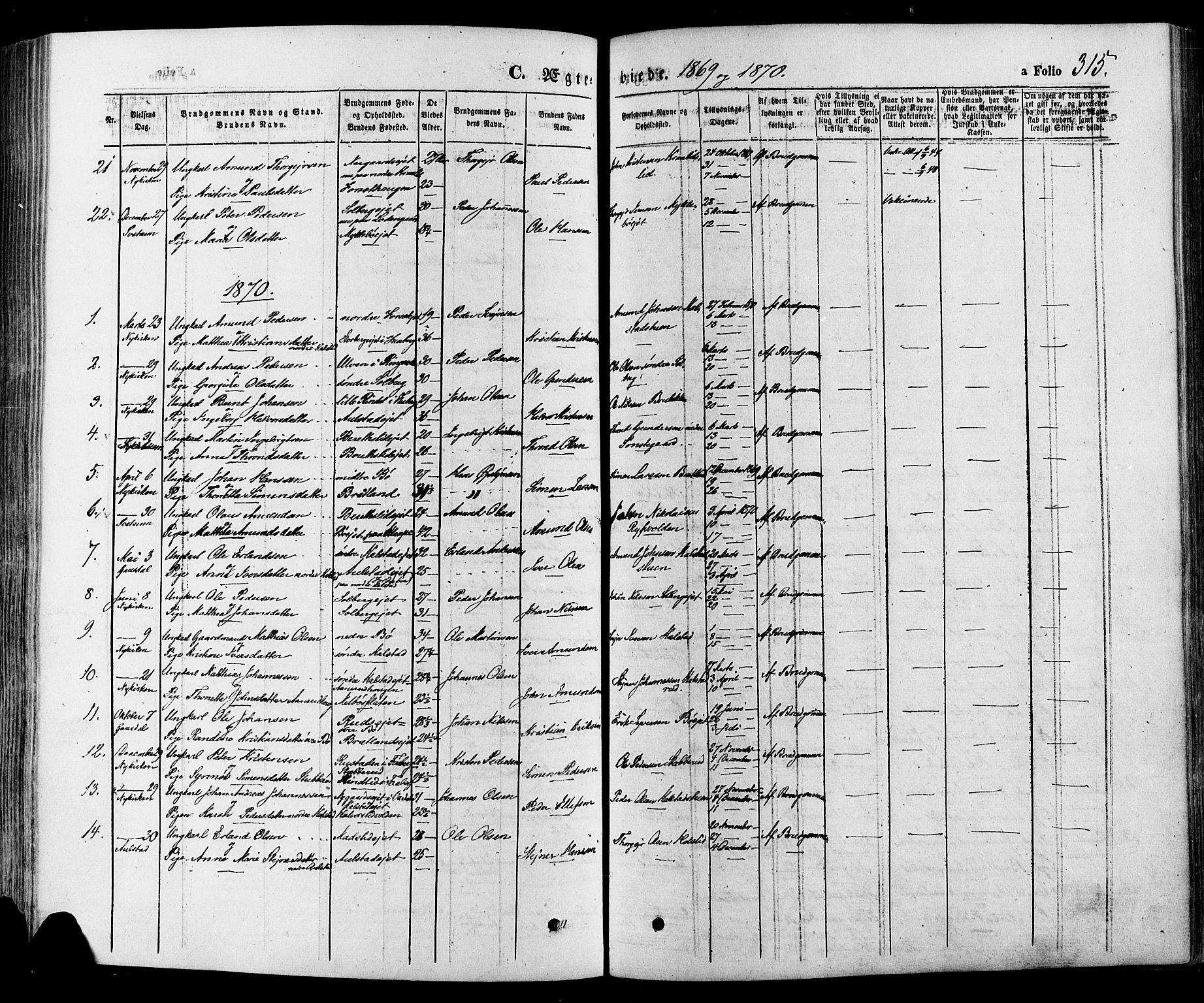 Gausdal prestekontor, SAH/PREST-090/H/Ha/Haa/L0010: Parish register (official) no. 10, 1867-1886, p. 315