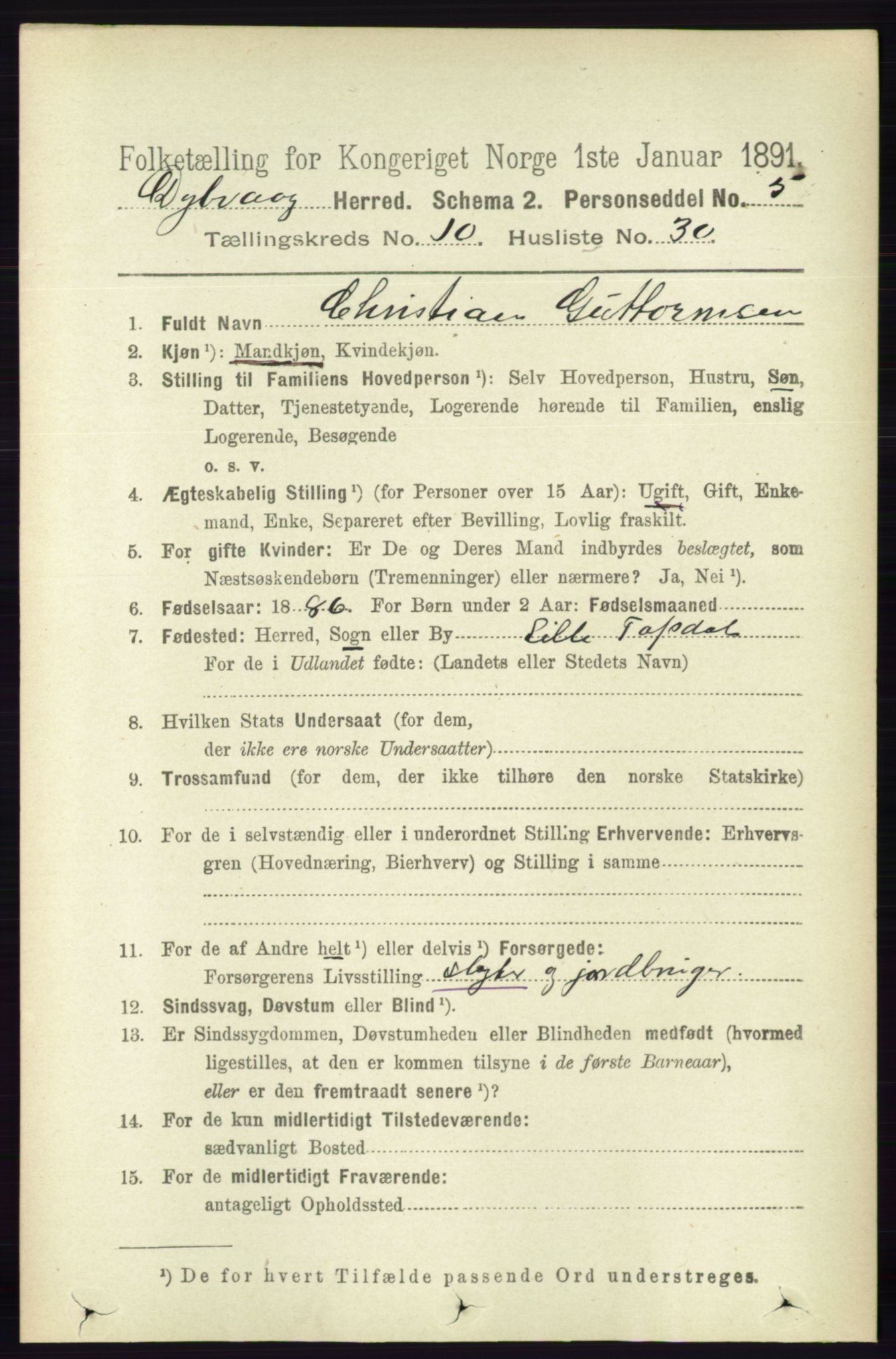 RA, 1891 census for 0915 Dypvåg, 1891, p. 3912