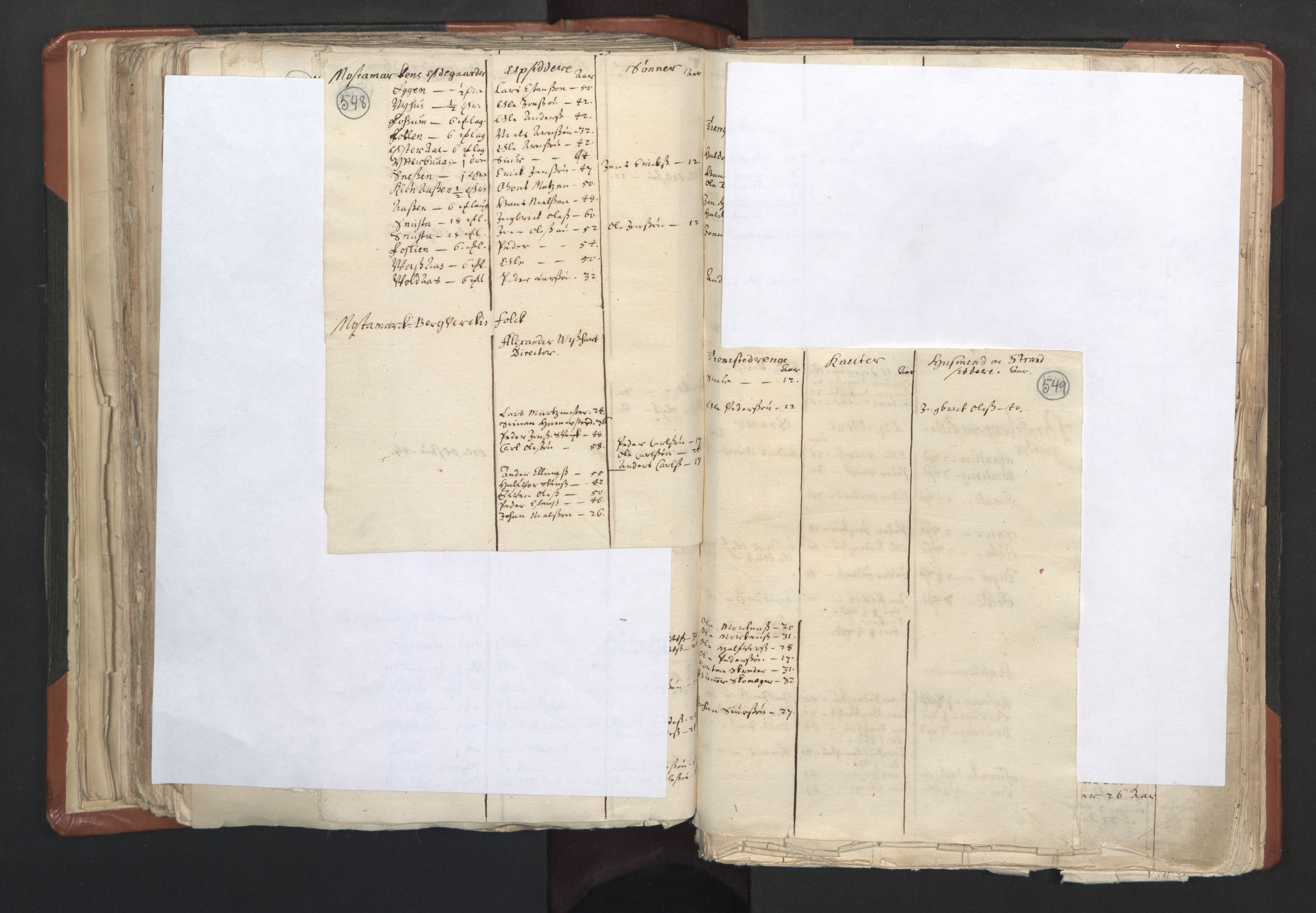 RA, Vicar's Census 1664-1666, no. 31: Dalane deanery, 1664-1666, p. 548-549