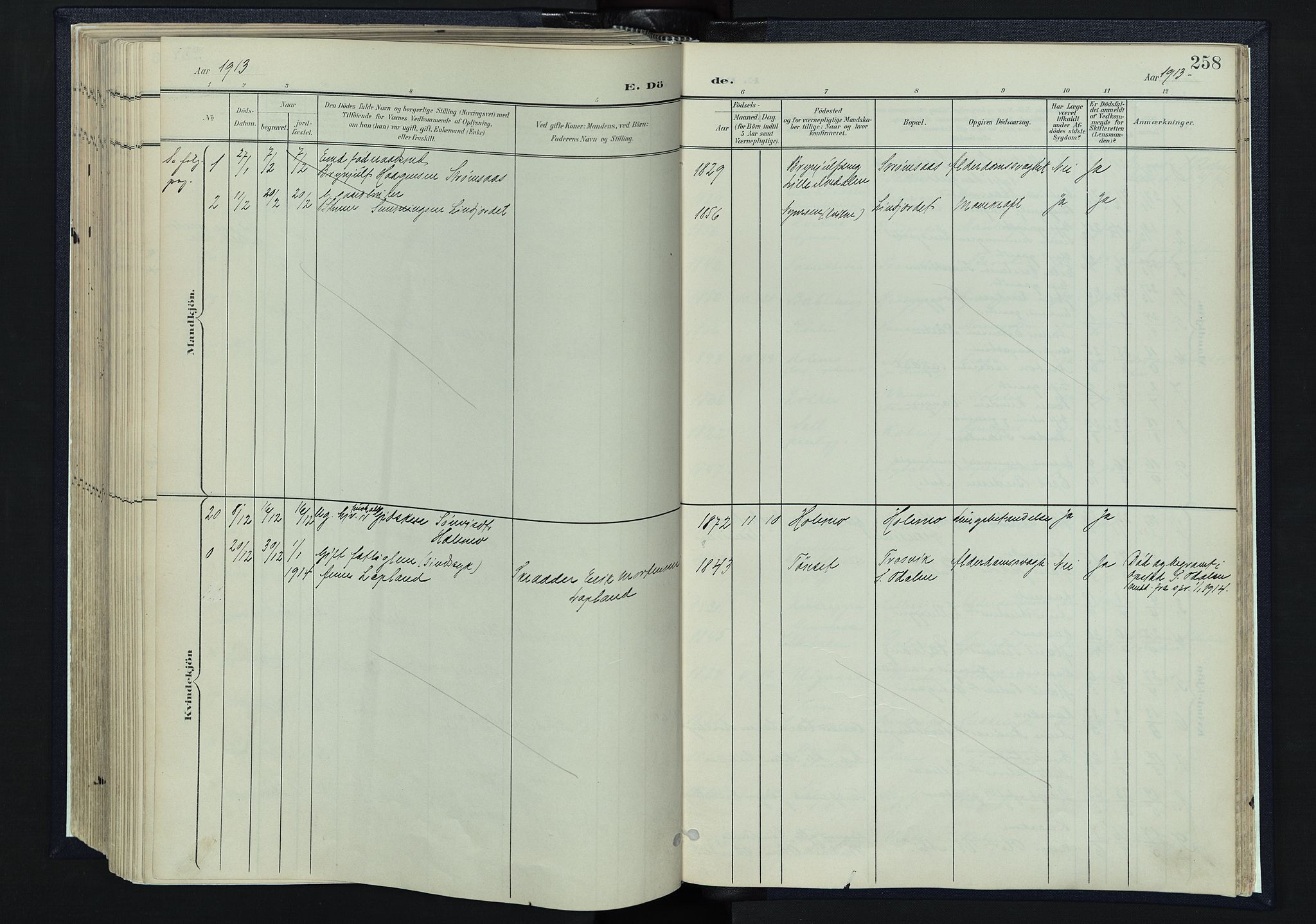 Tynset prestekontor, SAH/PREST-058/H/Ha/Haa/L0025: Parish register (official) no. 25, 1900-1914, p. 258