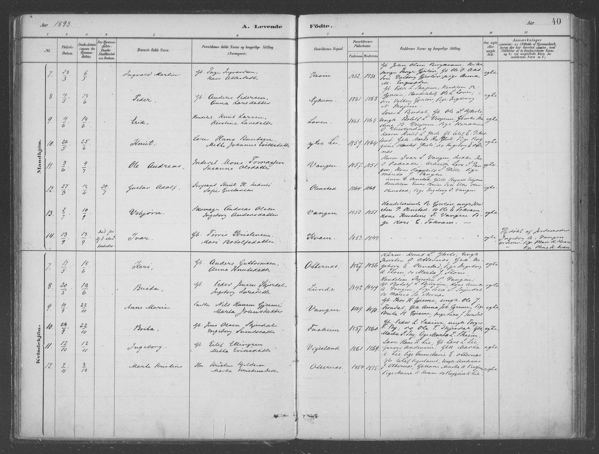 Aurland sokneprestembete, AV/SAB-A-99937/H/Ha/Hab/L0001: Parish register (official) no. B  1, 1880-1909, p. 40