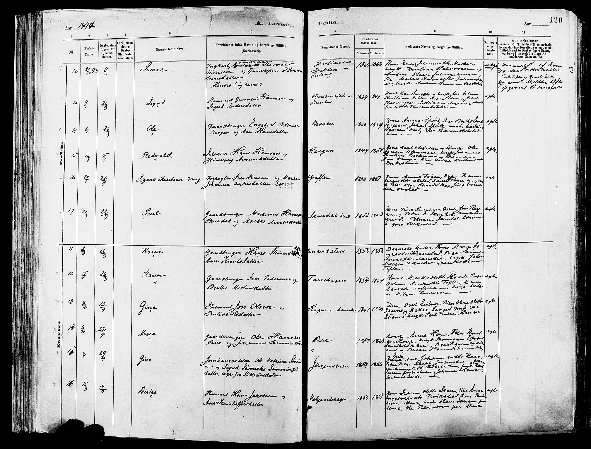 Sør-Fron prestekontor, AV/SAH-PREST-010/H/Ha/Haa/L0003: Parish register (official) no. 3, 1881-1897, p. 120