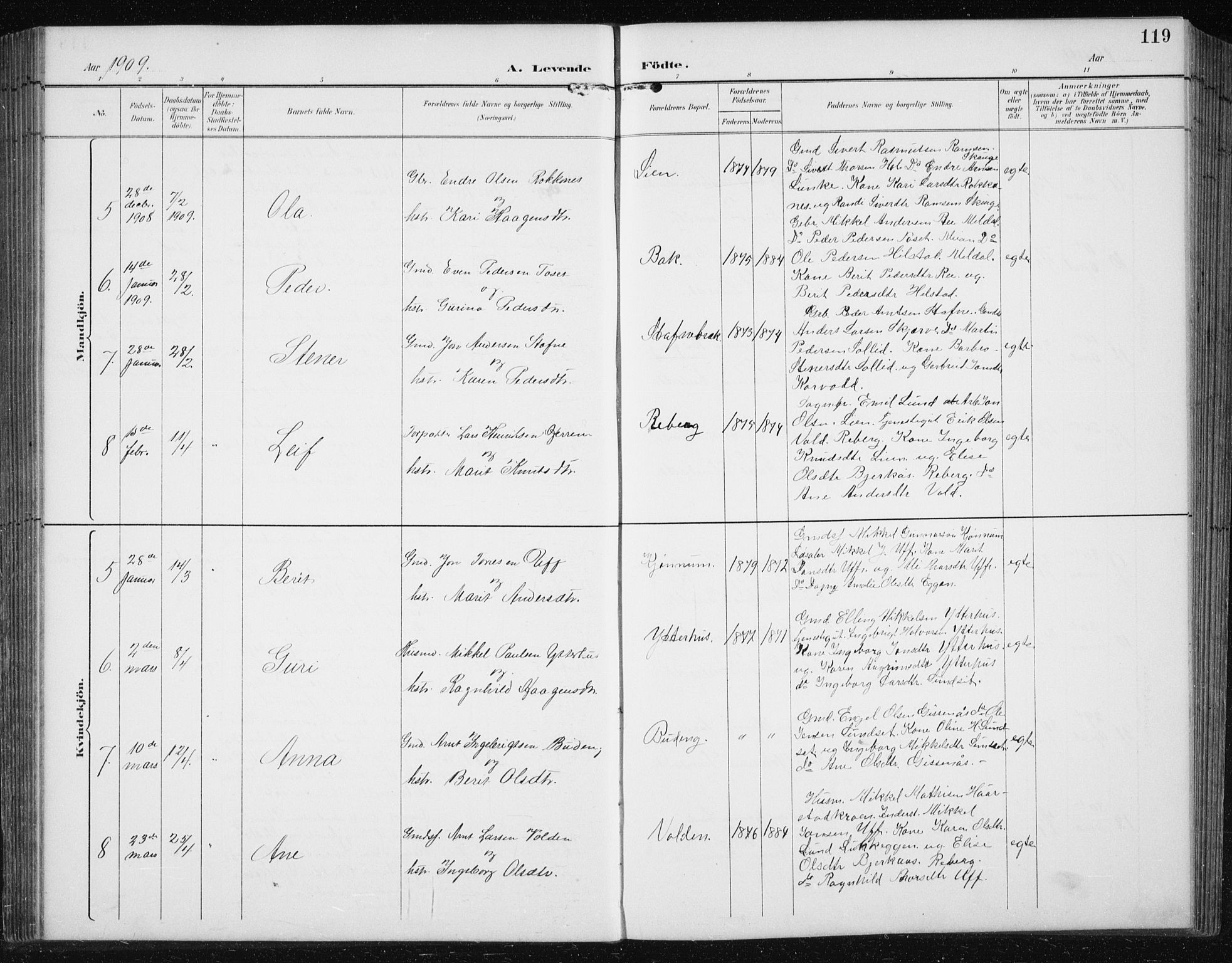 Ministerialprotokoller, klokkerbøker og fødselsregistre - Sør-Trøndelag, SAT/A-1456/674/L0876: Parish register (copy) no. 674C03, 1892-1912, p. 119