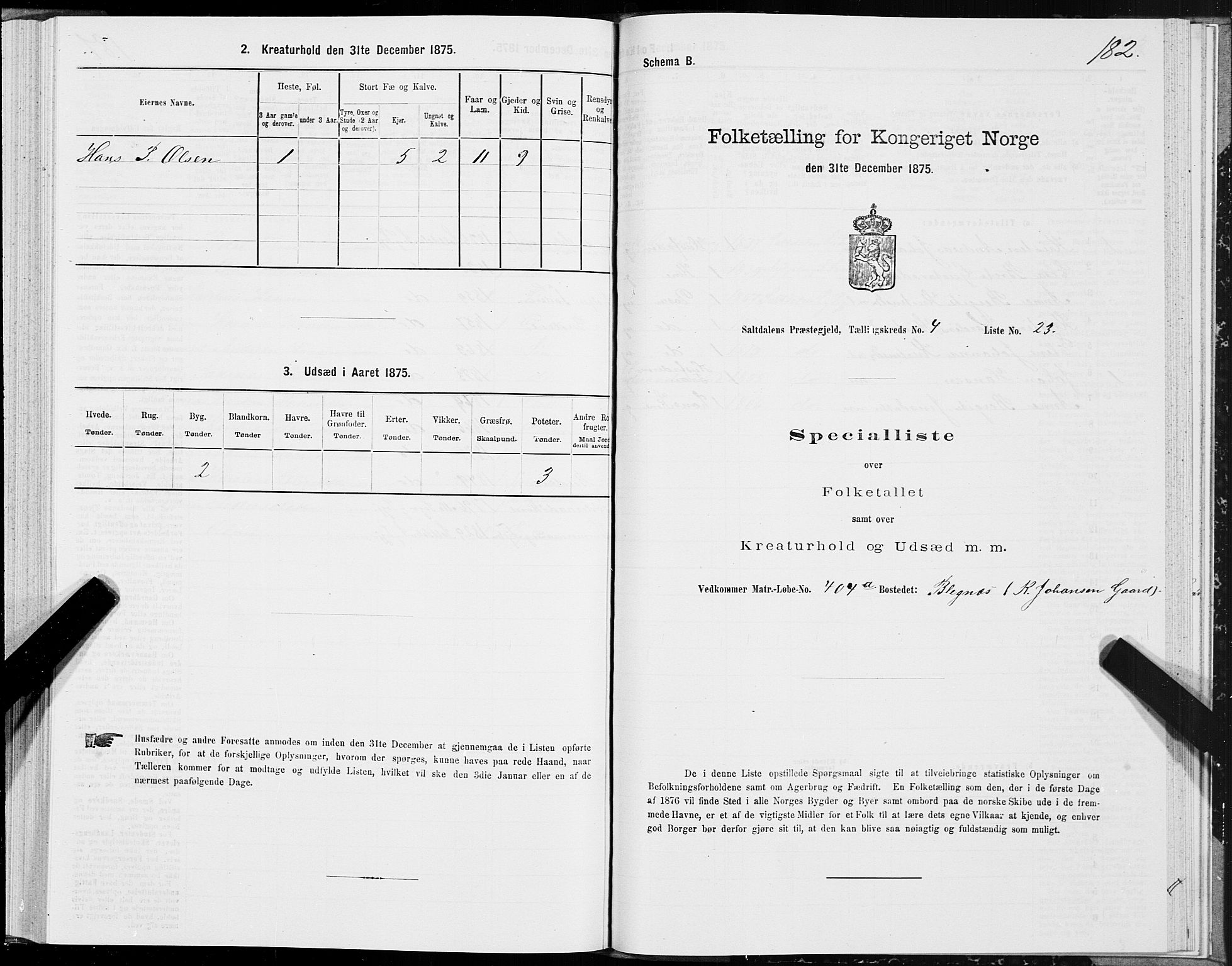 SAT, 1875 census for 1840P Saltdal, 1875, p. 2182