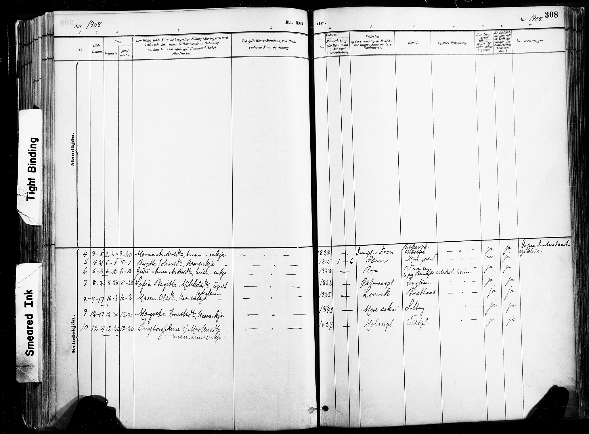 Ministerialprotokoller, klokkerbøker og fødselsregistre - Nord-Trøndelag, AV/SAT-A-1458/735/L0351: Parish register (official) no. 735A10, 1884-1908, p. 308