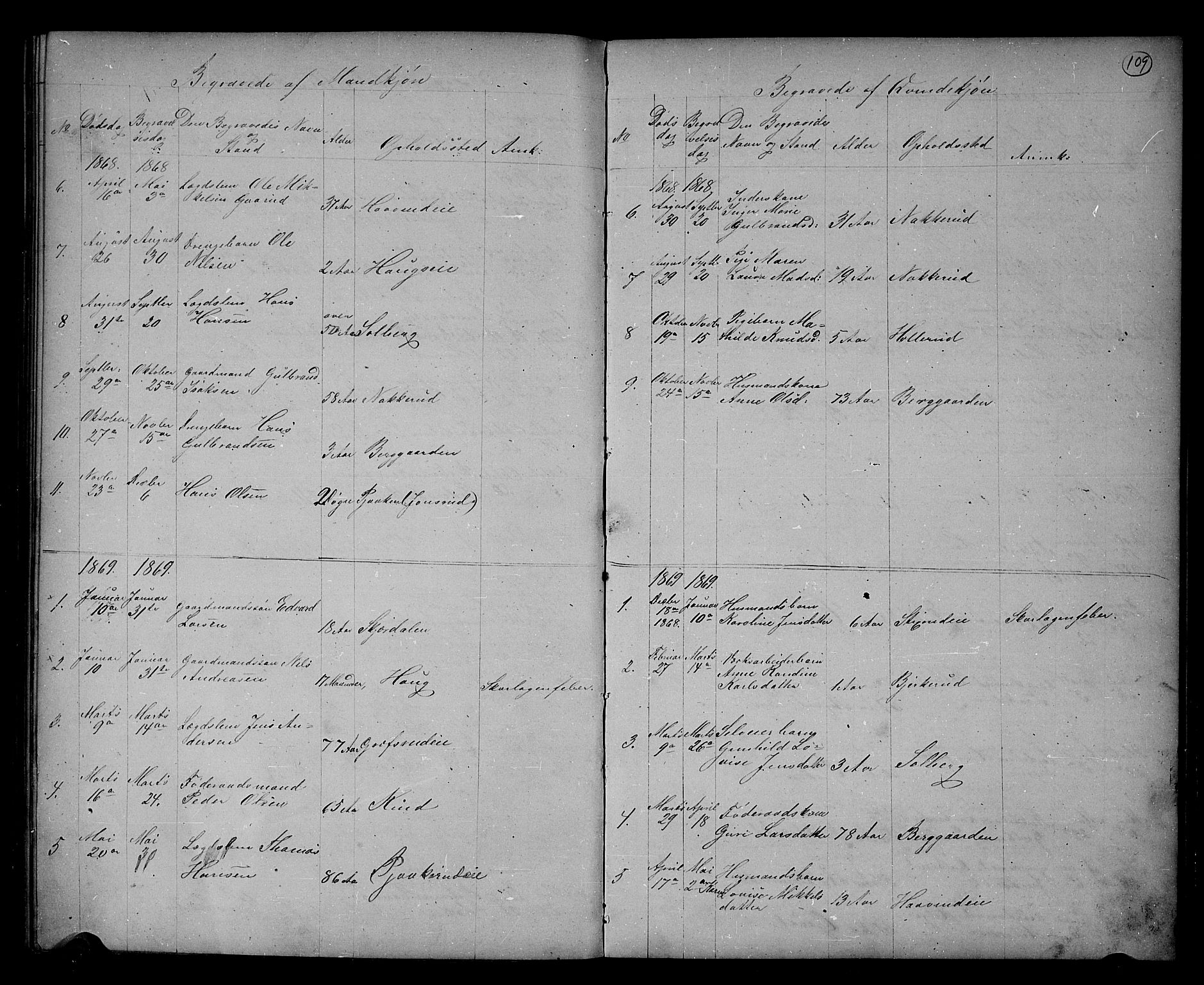 Hole kirkebøker, SAKO/A-228/G/Gb/L0001: Parish register (copy) no. II 1, 1859-1878, p. 109