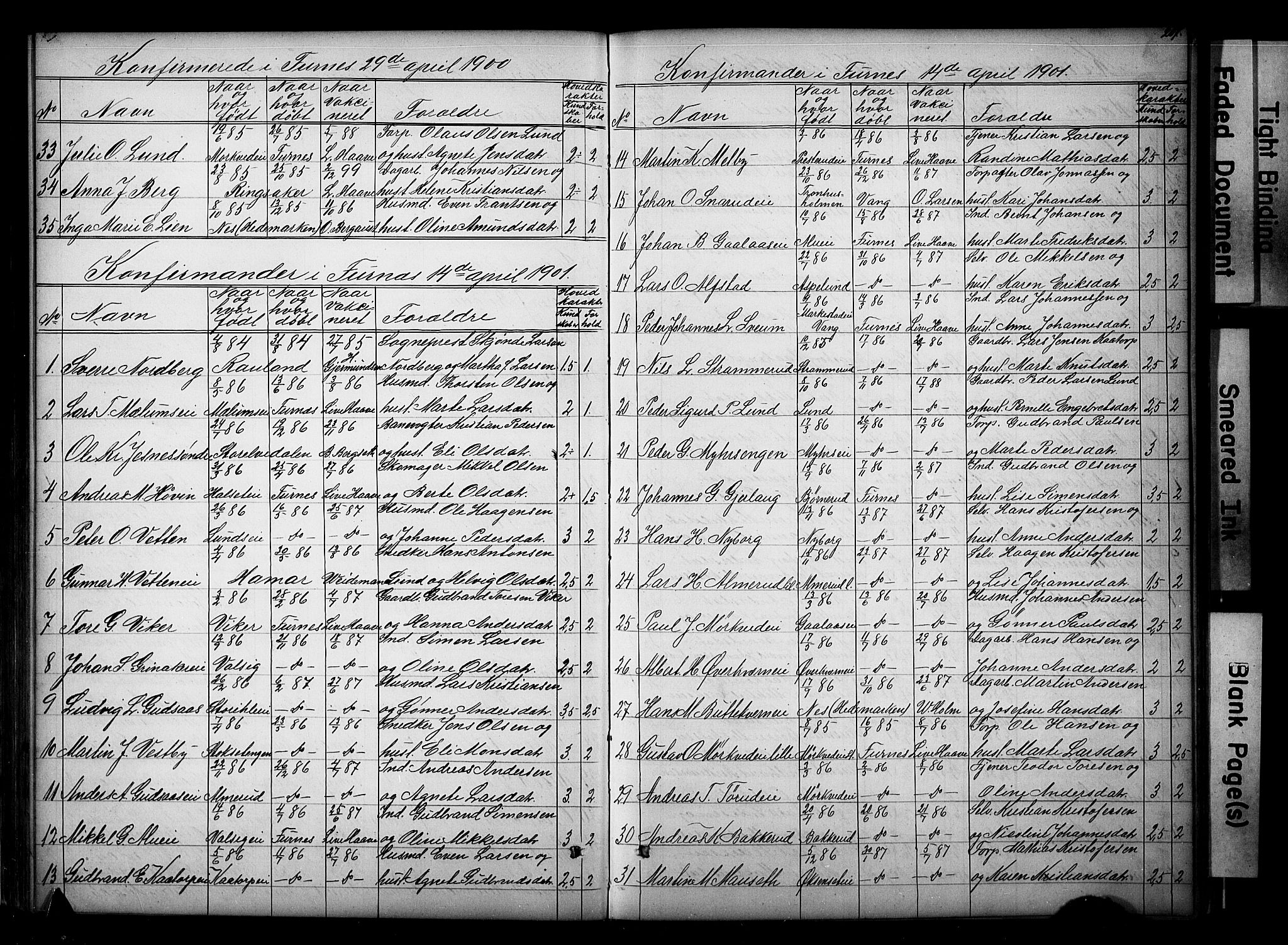 Vang prestekontor, Hedmark, SAH/PREST-008/H/Ha/Hab/L0018: Parish register (copy) no. 18, 1871-1903, p. 207