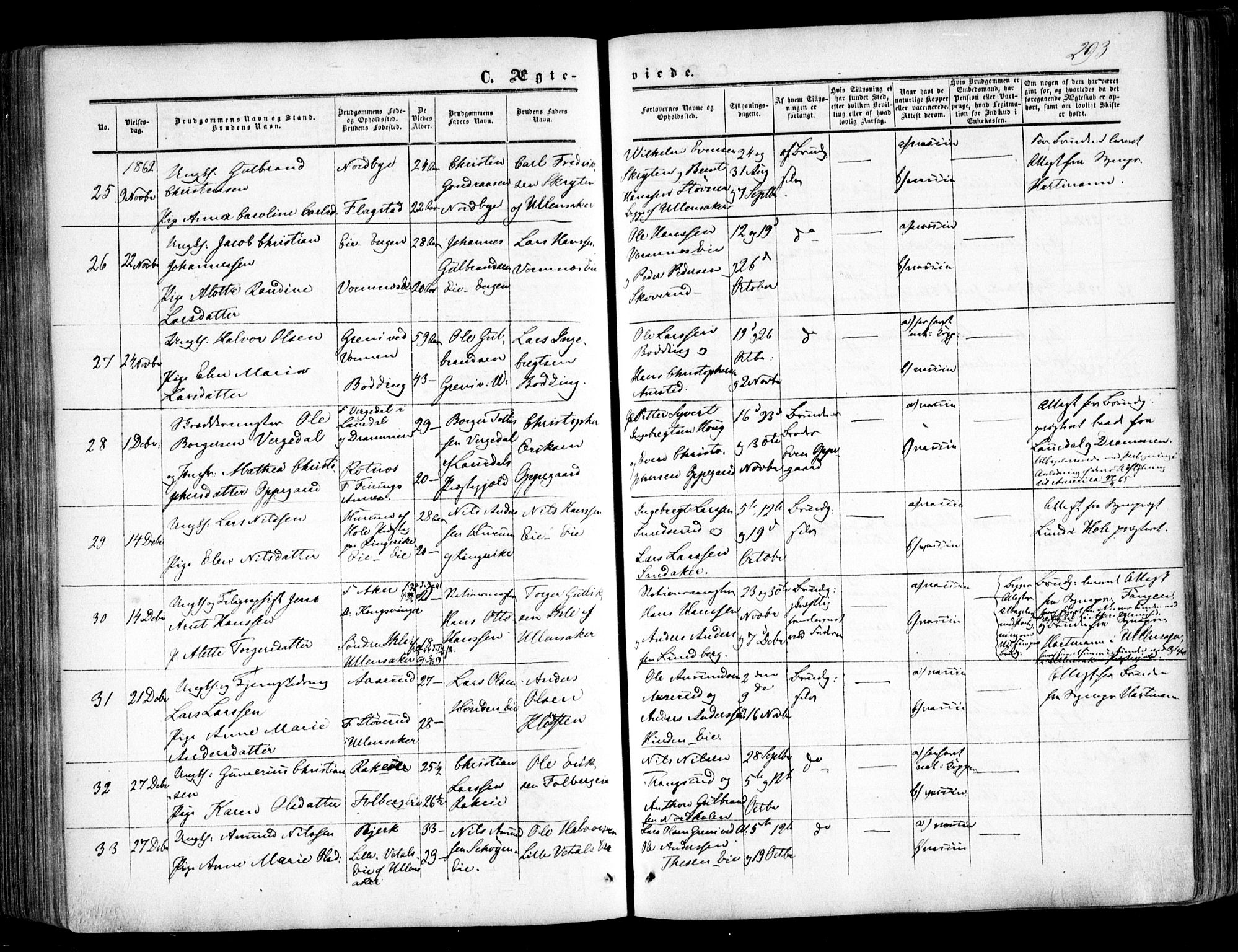 Nes prestekontor Kirkebøker, AV/SAO-A-10410/F/Fa/L0008: Parish register (official) no. I 8, 1859-1874, p. 293