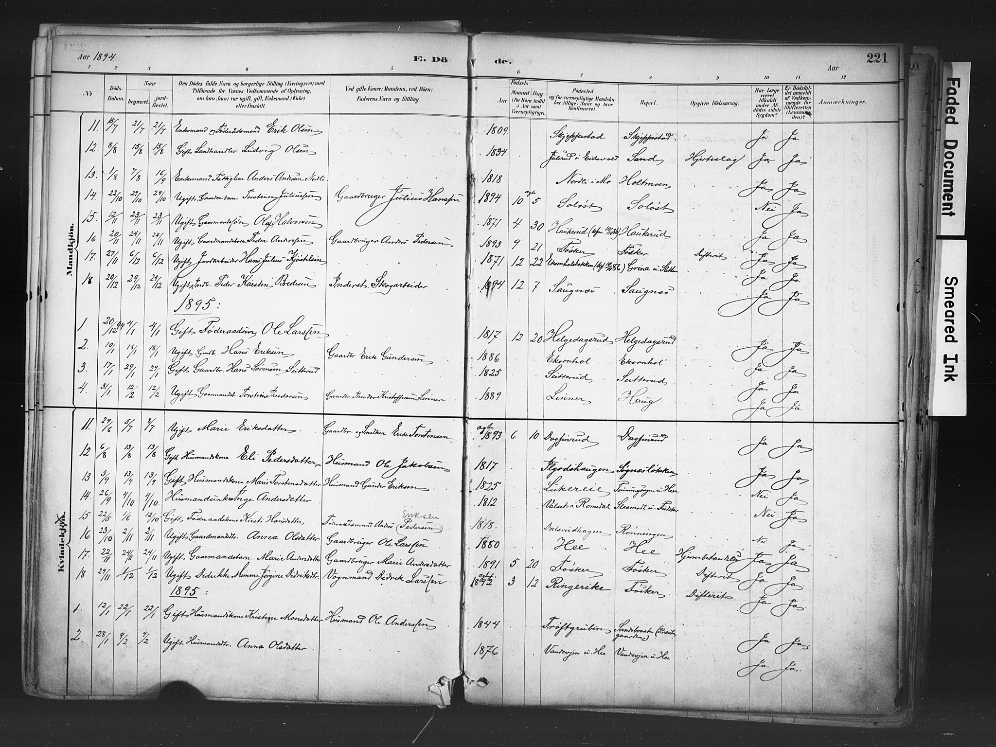 Nord-Odal prestekontor, AV/SAH-PREST-032/H/Ha/Haa/L0006: Parish register (official) no. 6, 1886-1901, p. 221