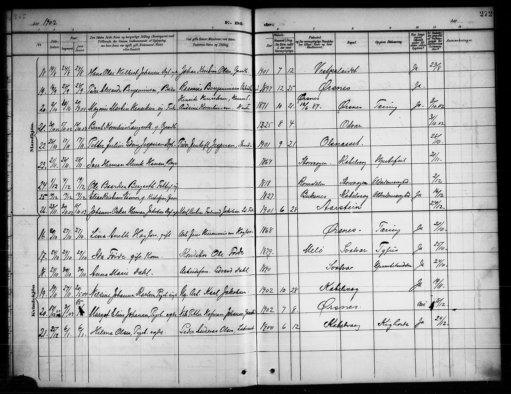 Ministerialprotokoller, klokkerbøker og fødselsregistre - Nordland, SAT/A-1459/874/L1078: Parish register (copy) no. 874C07, 1900-1907, p. 272