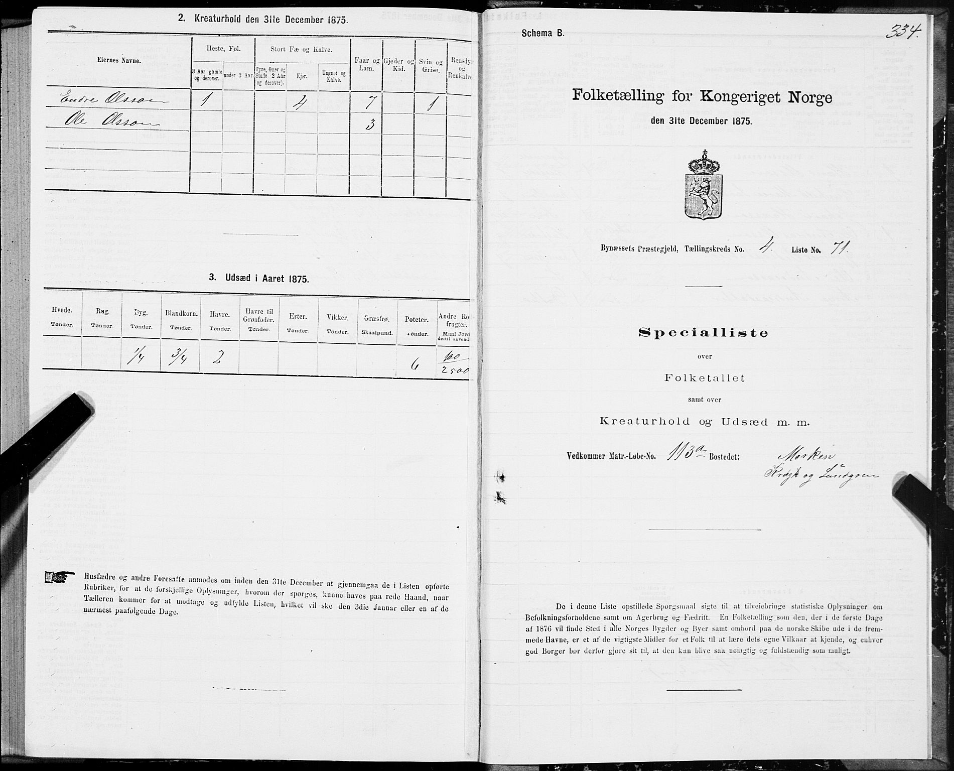 SAT, 1875 census for 1655P Byneset, 1875, p. 2334