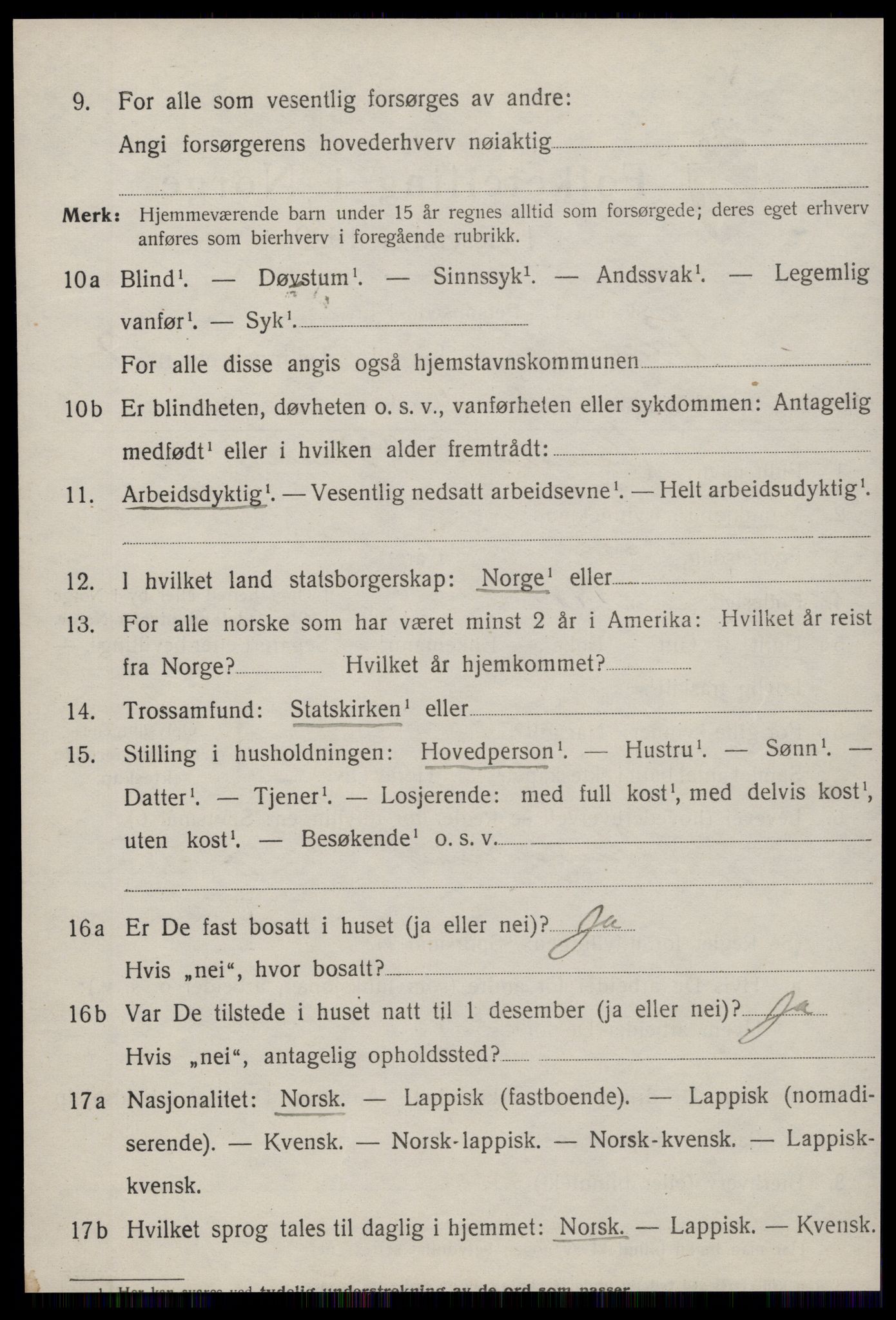SAT, 1920 census for Hemne, 1920, p. 4017