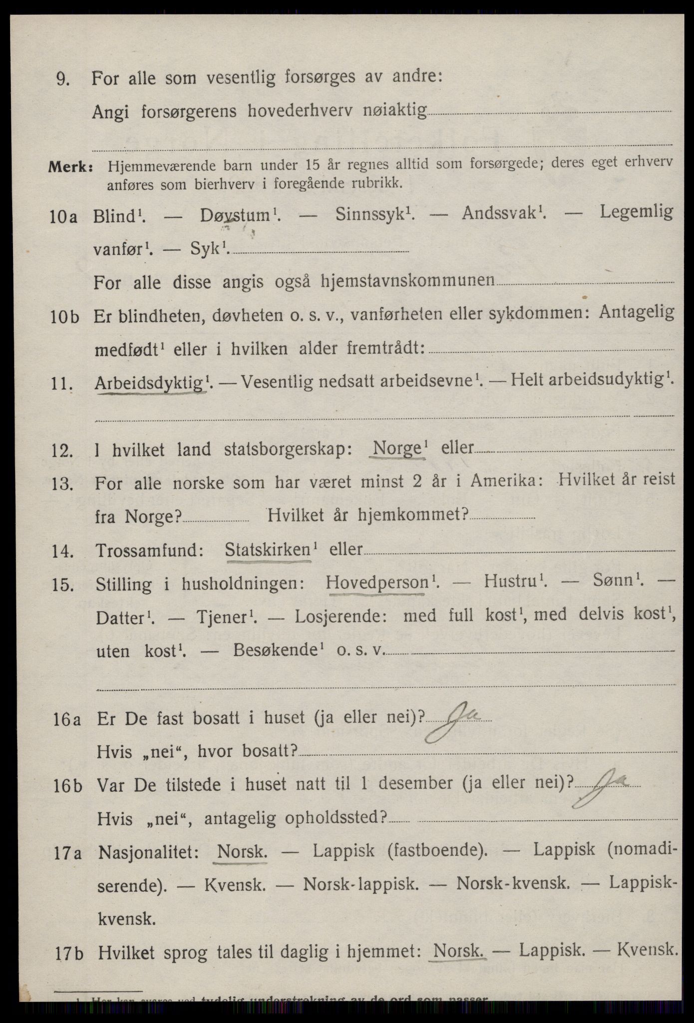 SAT, 1920 census for Hemne, 1920, p. 4017