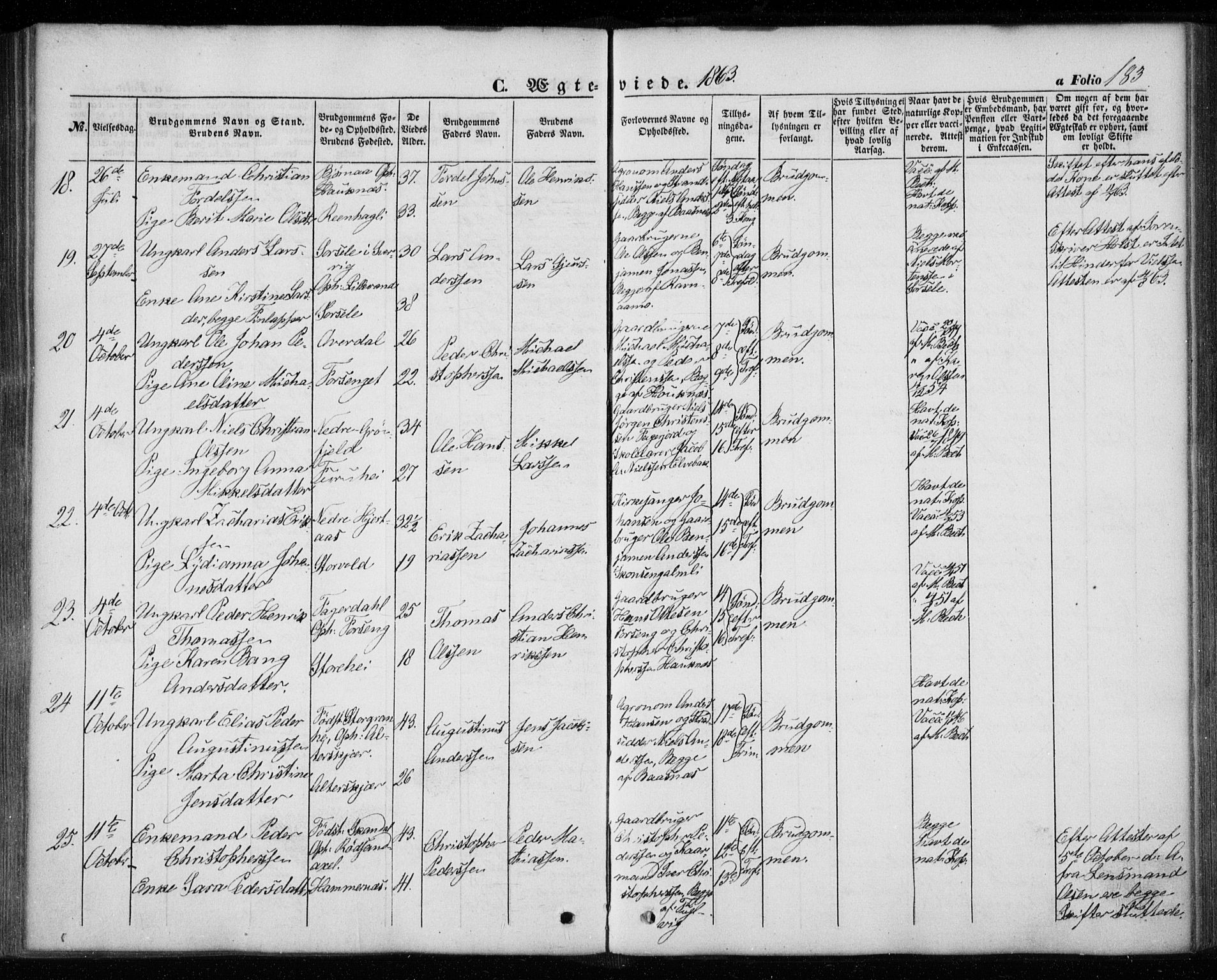 Ministerialprotokoller, klokkerbøker og fødselsregistre - Nordland, AV/SAT-A-1459/827/L0392: Parish register (official) no. 827A04, 1853-1866, p. 183