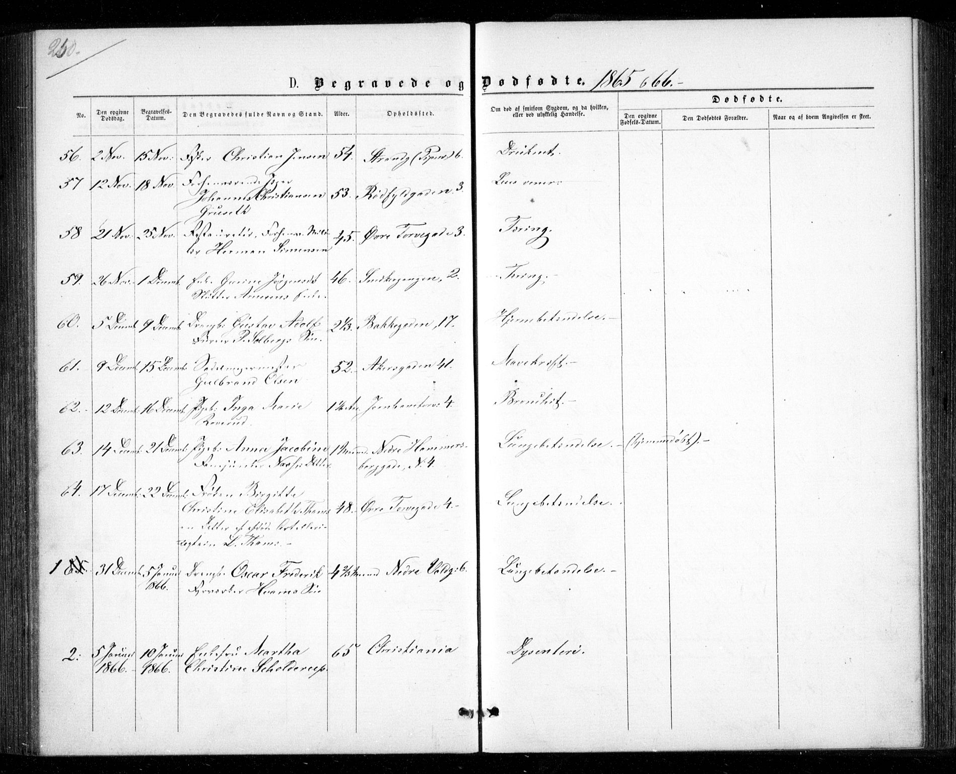 Garnisonsmenigheten Kirkebøker, AV/SAO-A-10846/G/Ga/L0006: Parish register (copy) no. 6, 1860-1880, p. 250