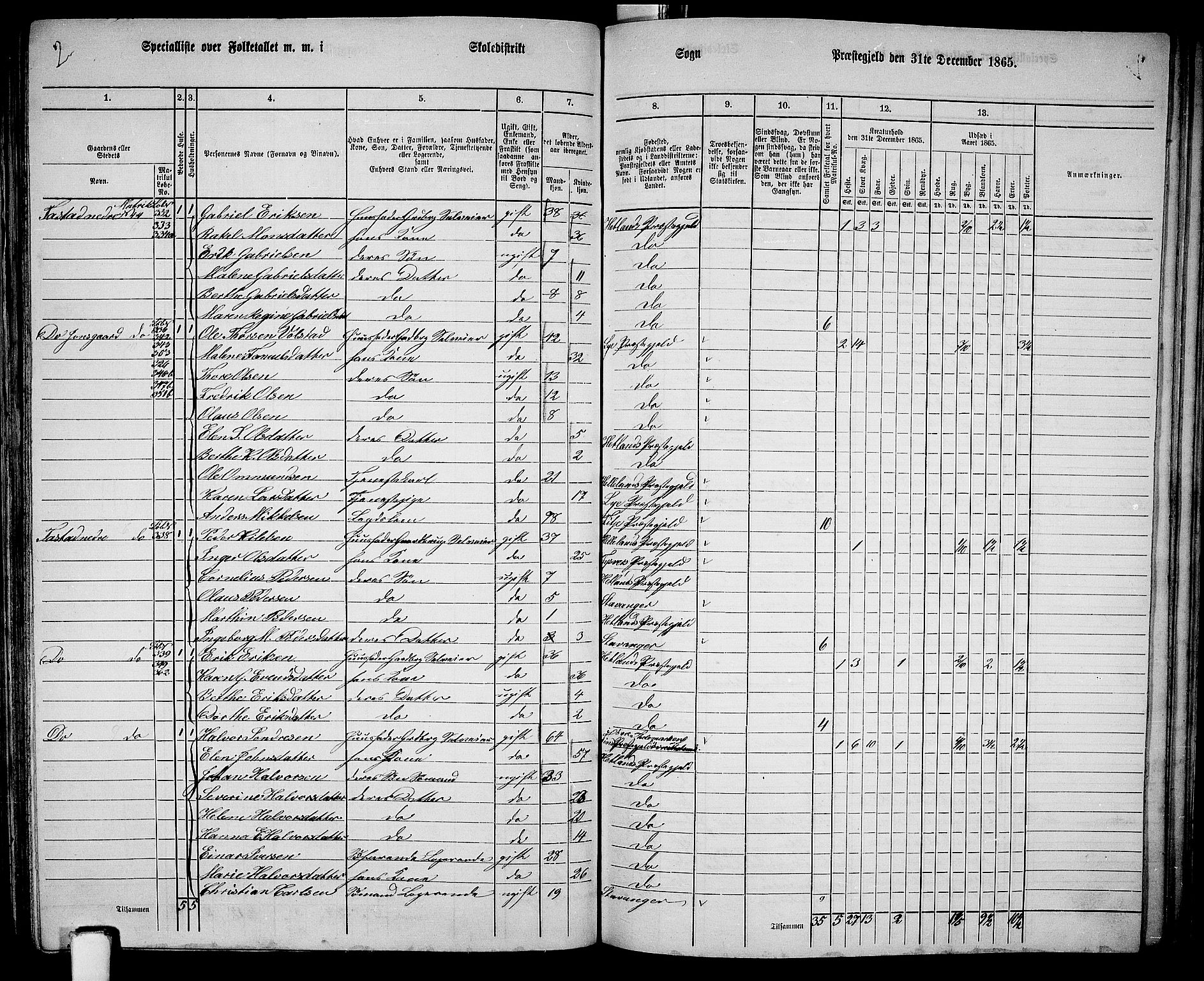 RA, 1865 census for Hetland, 1865, p. 168