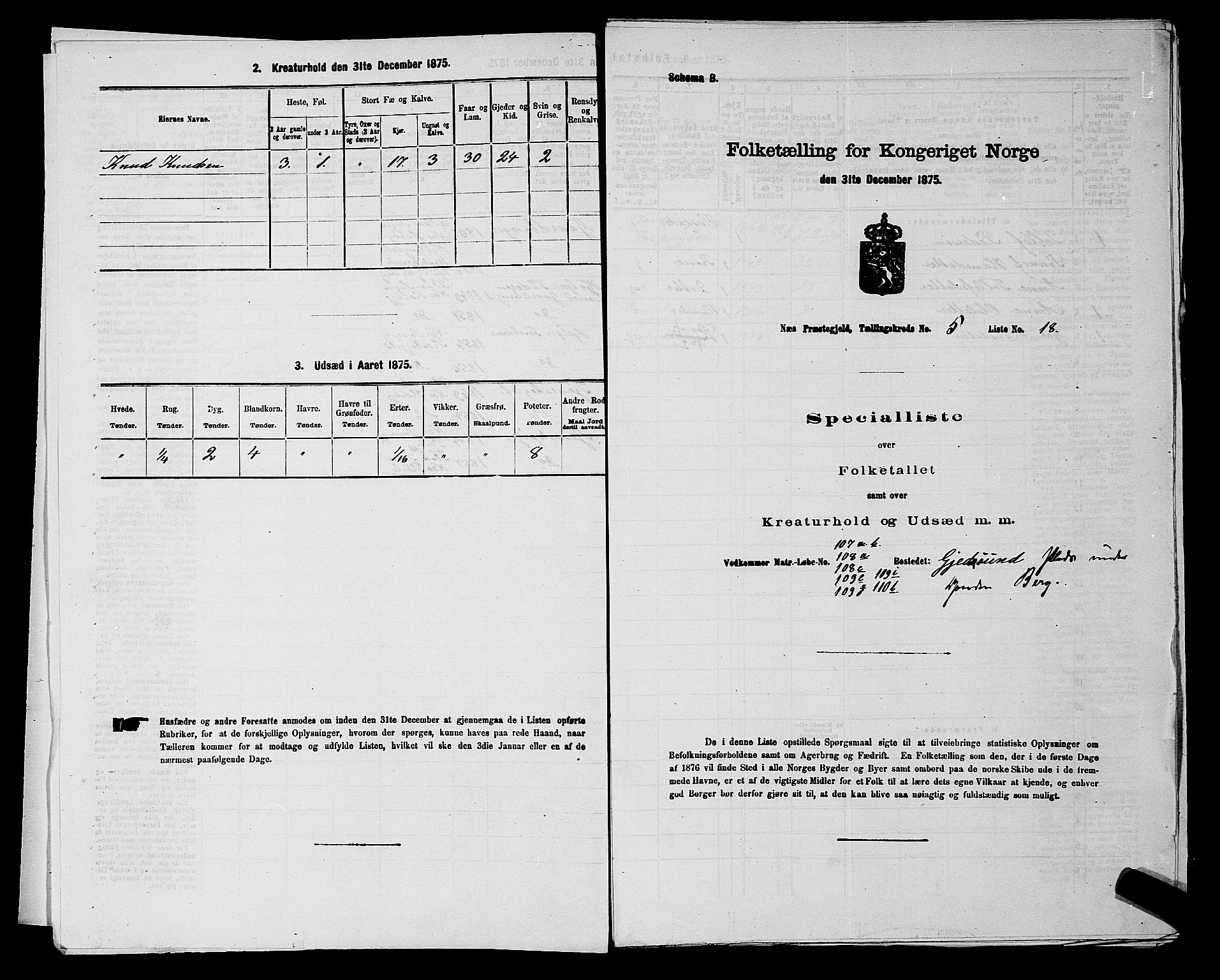 SAKO, 1875 census for 0616P Nes, 1875, p. 858