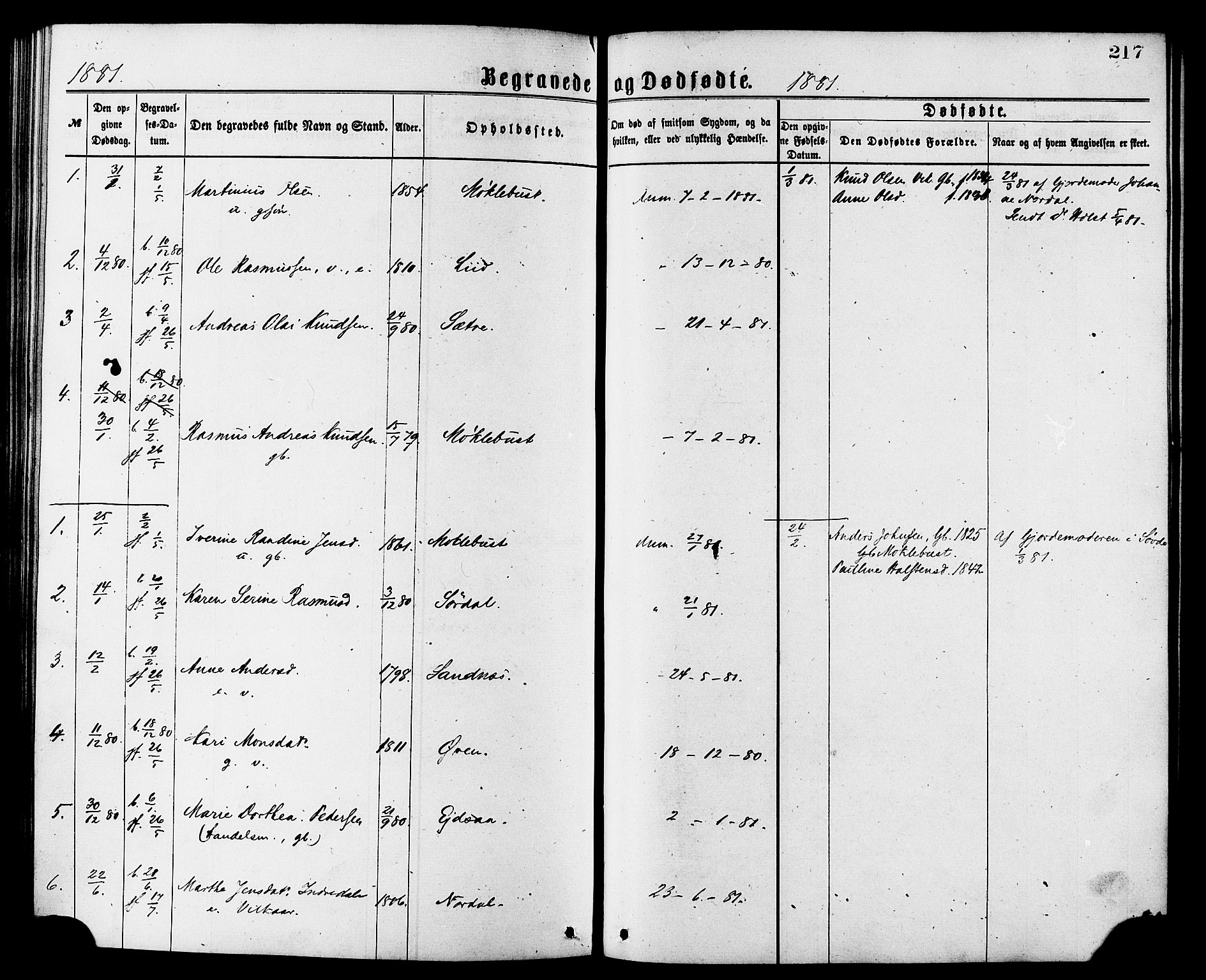 Ministerialprotokoller, klokkerbøker og fødselsregistre - Møre og Romsdal, SAT/A-1454/502/L0024: Parish register (official) no. 502A02, 1873-1884, p. 217